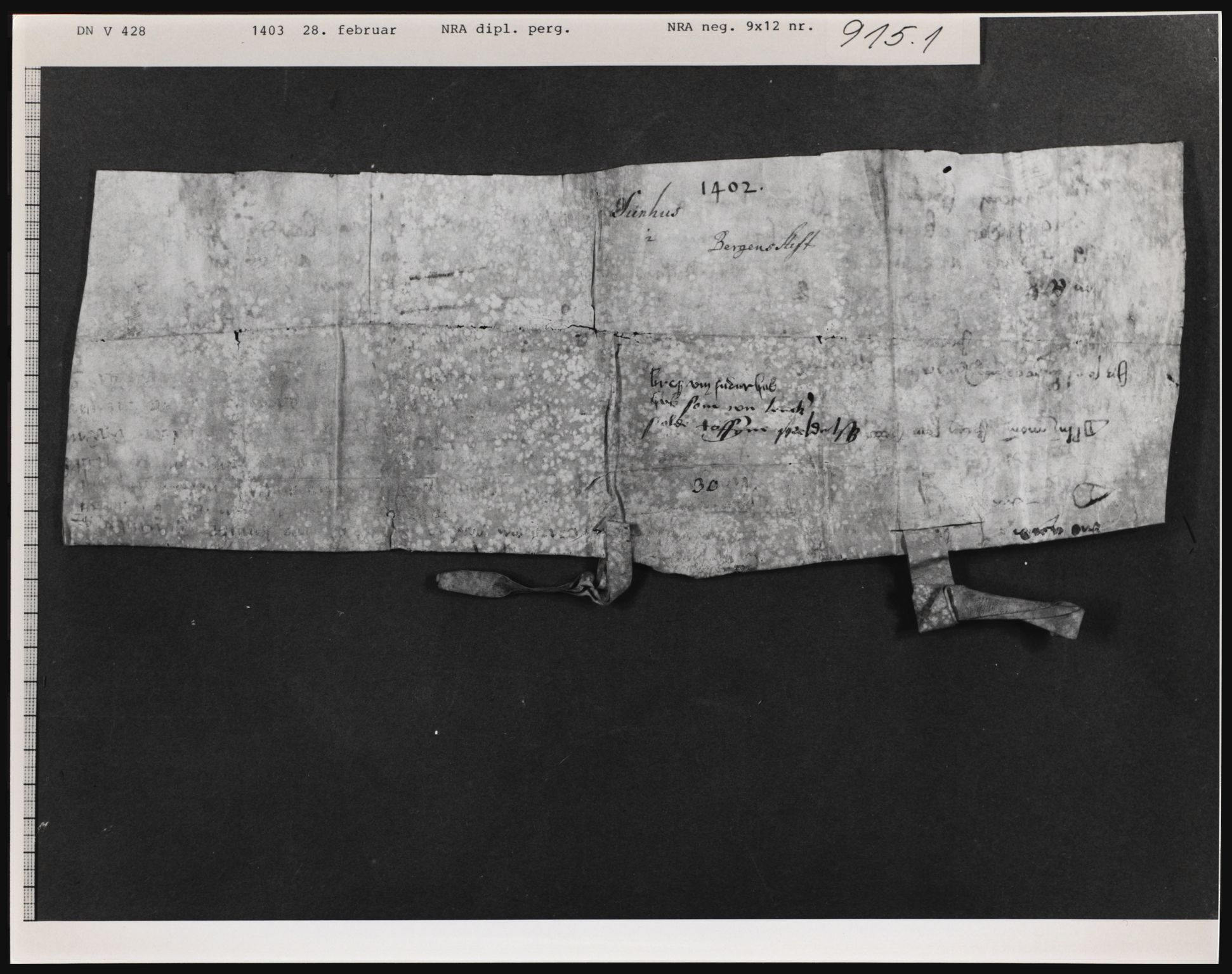Riksarkivets diplomsamling, AV/RA-EA-5965/F01, 1337-1571, s. 2489