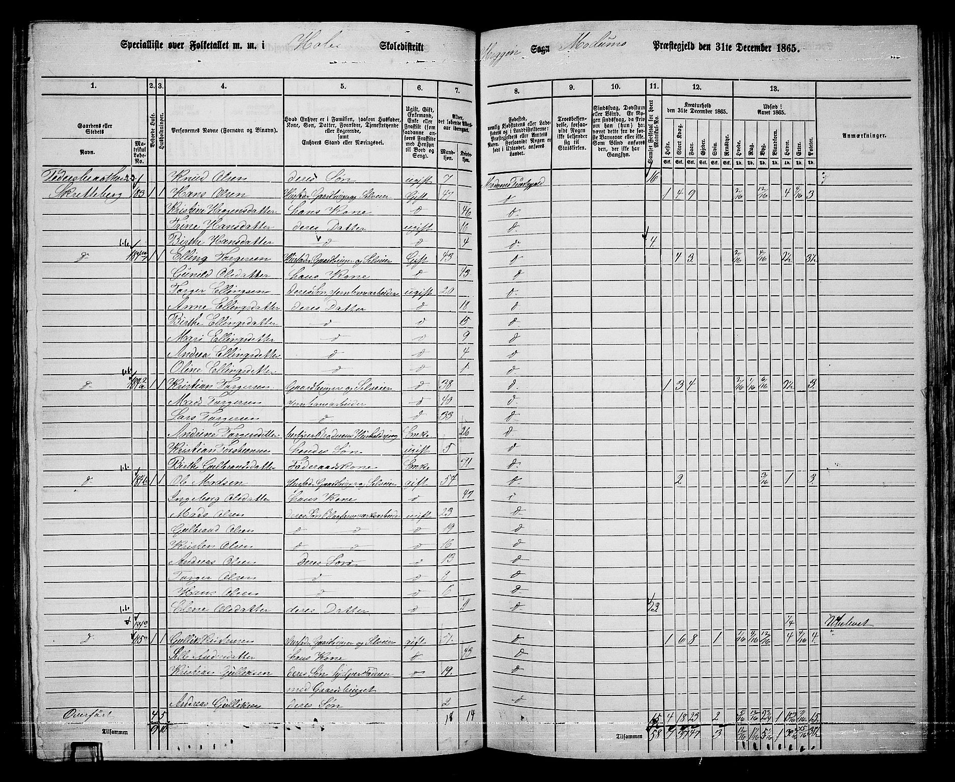 RA, Folketelling 1865 for 0623P Modum prestegjeld, 1865, s. 171