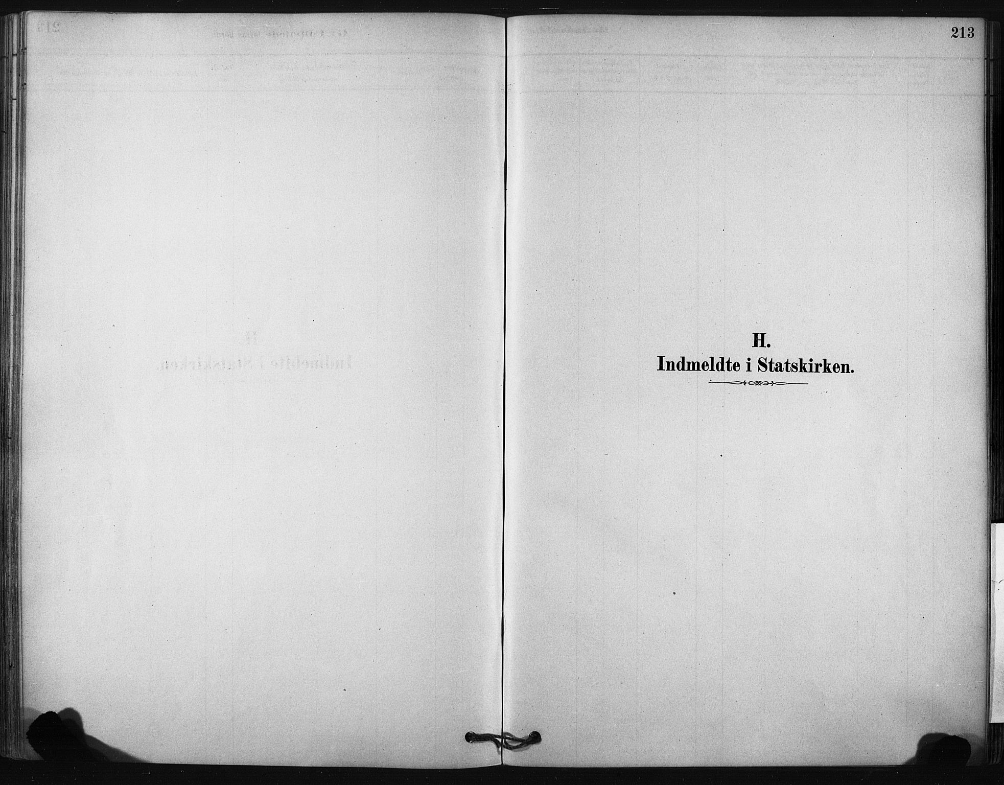Ministerialprotokoller, klokkerbøker og fødselsregistre - Nordland, AV/SAT-A-1459/807/L0122: Ministerialbok nr. 807A05, 1880-1902, s. 213
