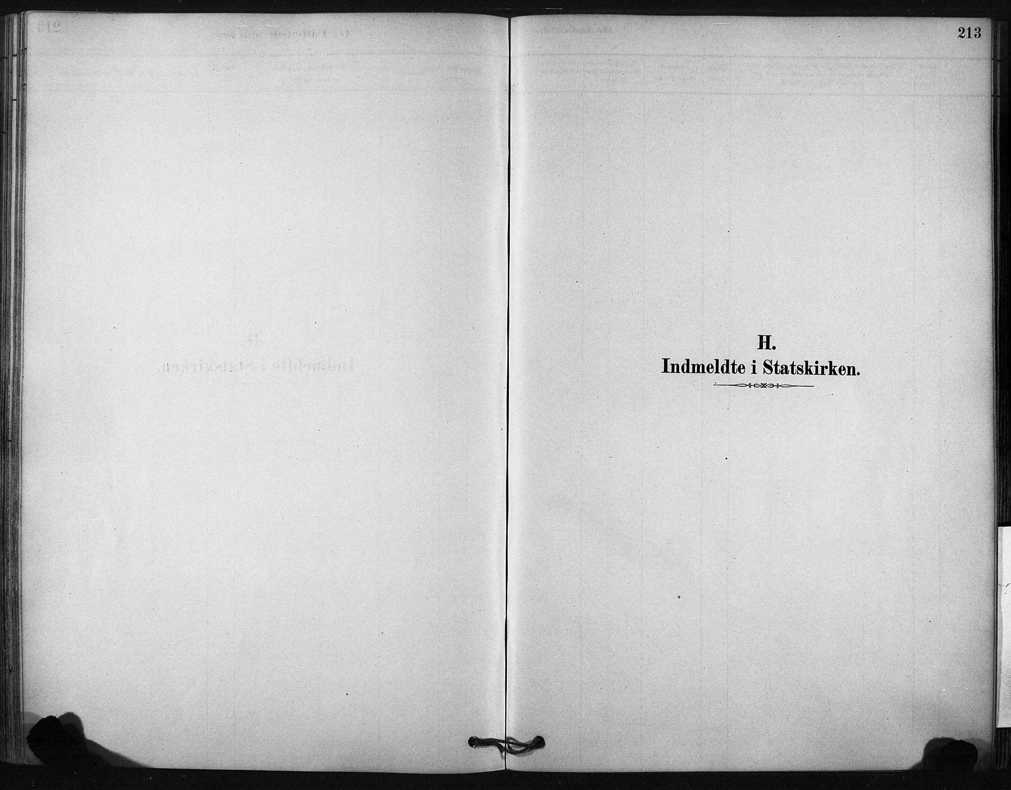 Ministerialprotokoller, klokkerbøker og fødselsregistre - Nordland, AV/SAT-A-1459/807/L0122: Ministerialbok nr. 807A05, 1880-1902, s. 213