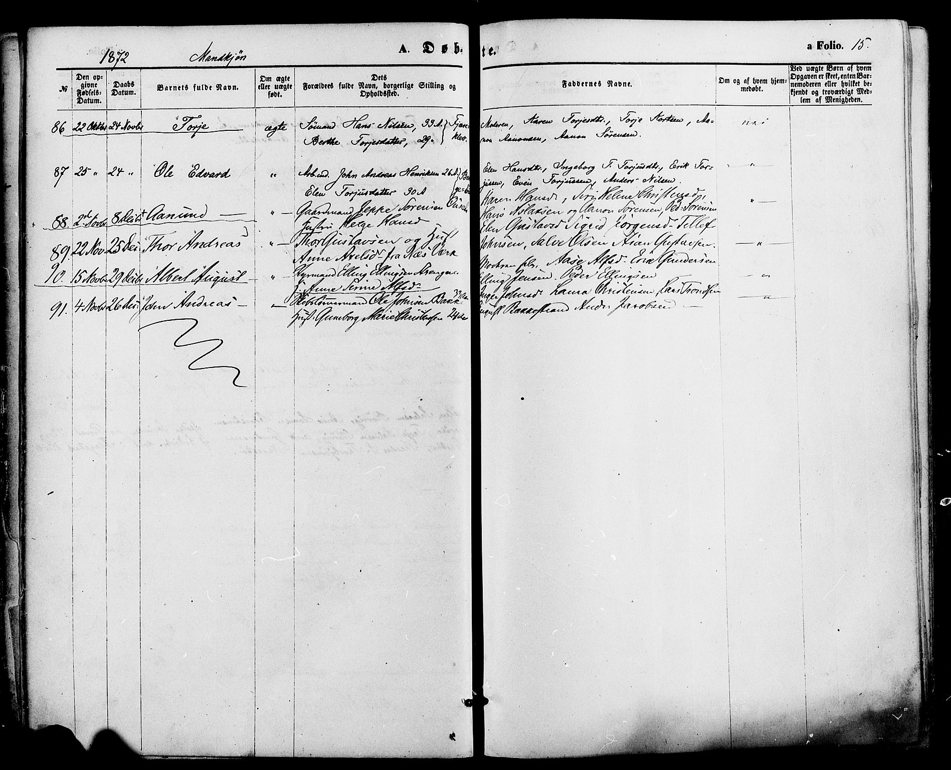 Holt sokneprestkontor, AV/SAK-1111-0021/F/Fa/L0010: Ministerialbok nr. A 10, 1872-1885, s. 15