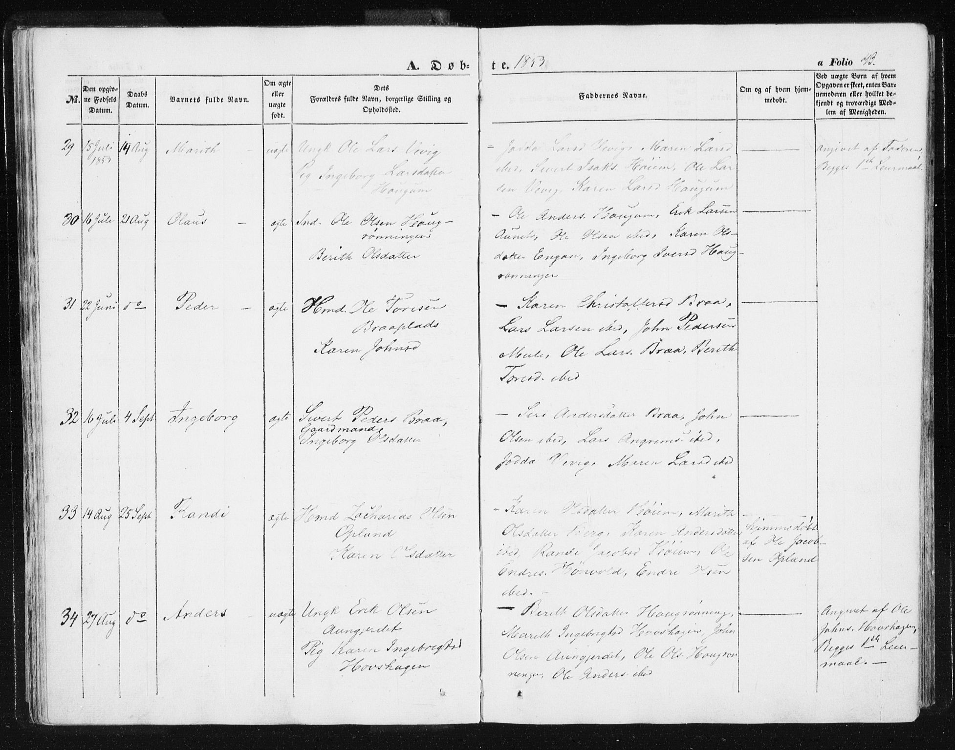Ministerialprotokoller, klokkerbøker og fødselsregistre - Sør-Trøndelag, SAT/A-1456/612/L0376: Ministerialbok nr. 612A08, 1846-1859, s. 43