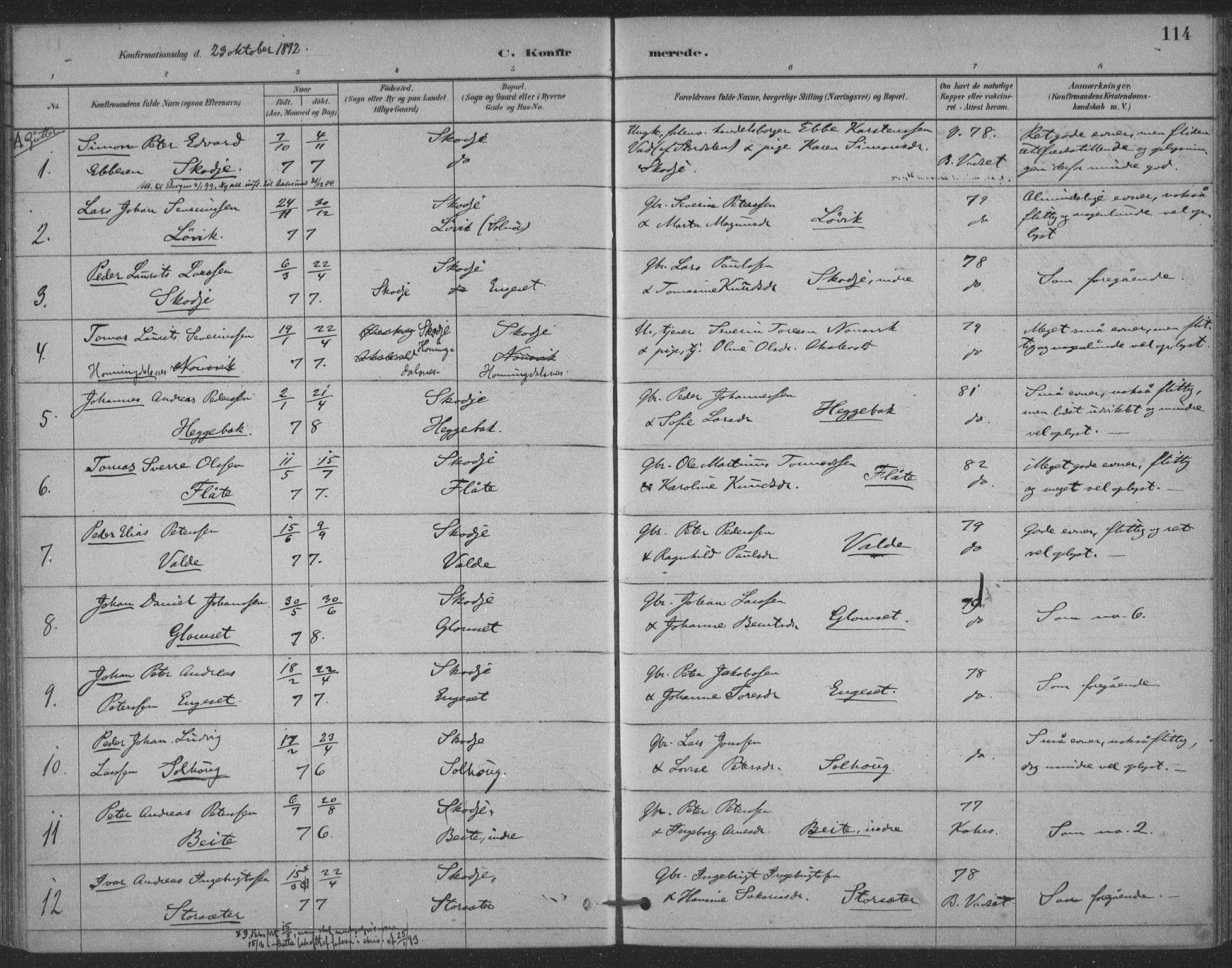 Ministerialprotokoller, klokkerbøker og fødselsregistre - Møre og Romsdal, SAT/A-1454/524/L0356: Ministerialbok nr. 524A08, 1880-1899, s. 114