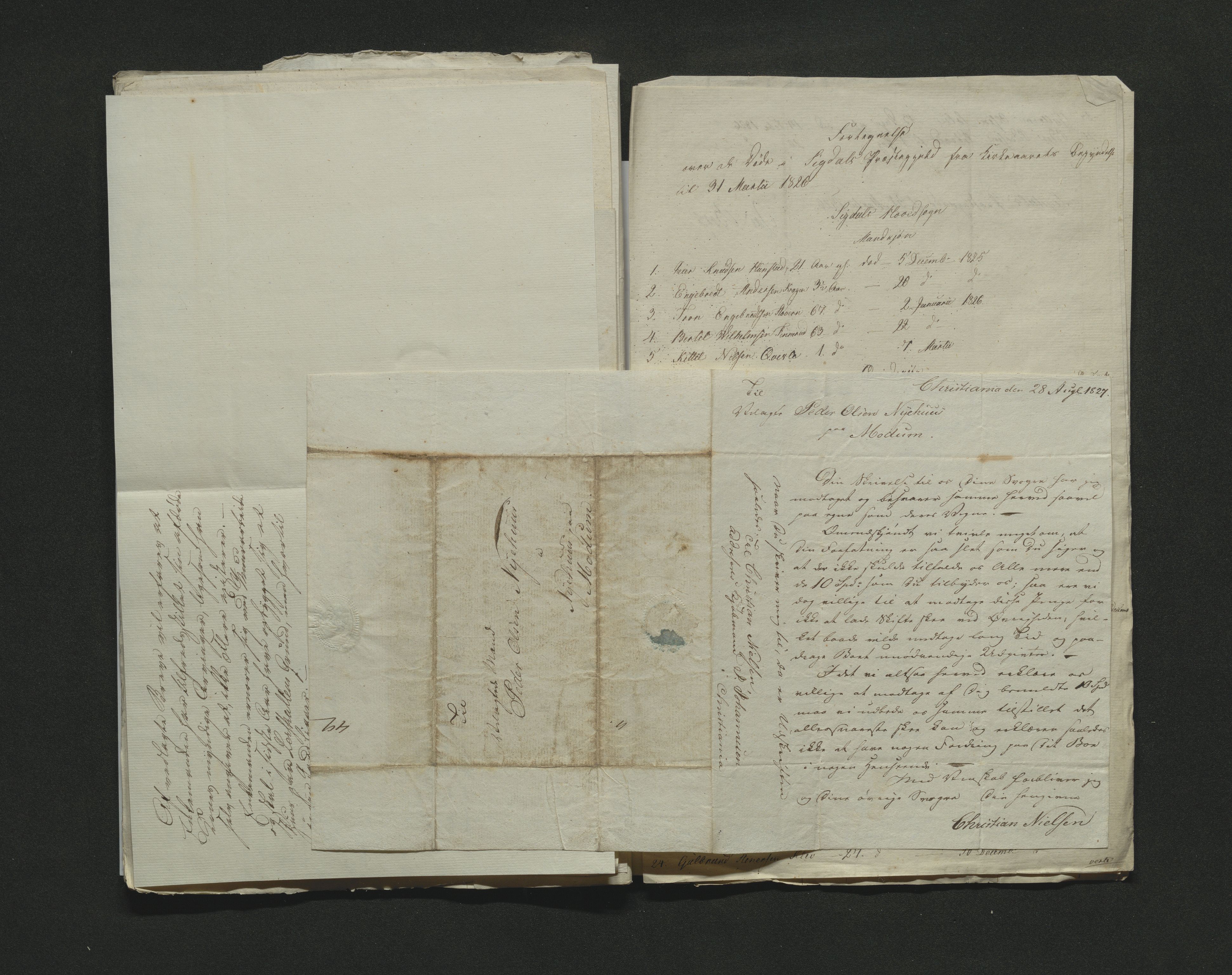Eiker, Modum og Sigdal sorenskriveri, AV/SAKO-A-123/H/Ha/Hab/L0002: Dødsfallsmeldinger, 1823-1829, s. 133