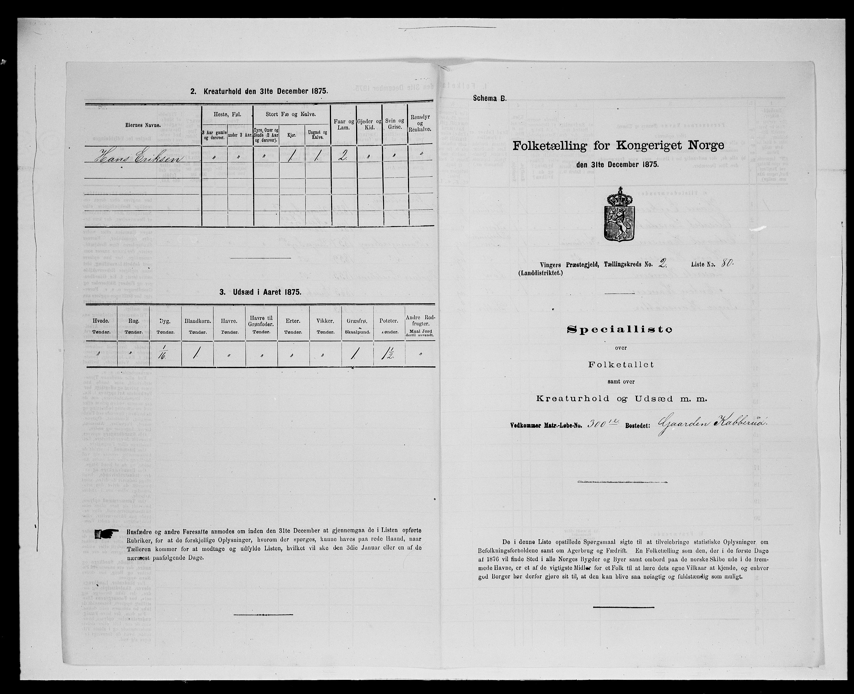 SAH, Folketelling 1875 for 0421L Vinger prestegjeld, Vinger sokn og Austmarka sokn, 1875, s. 380