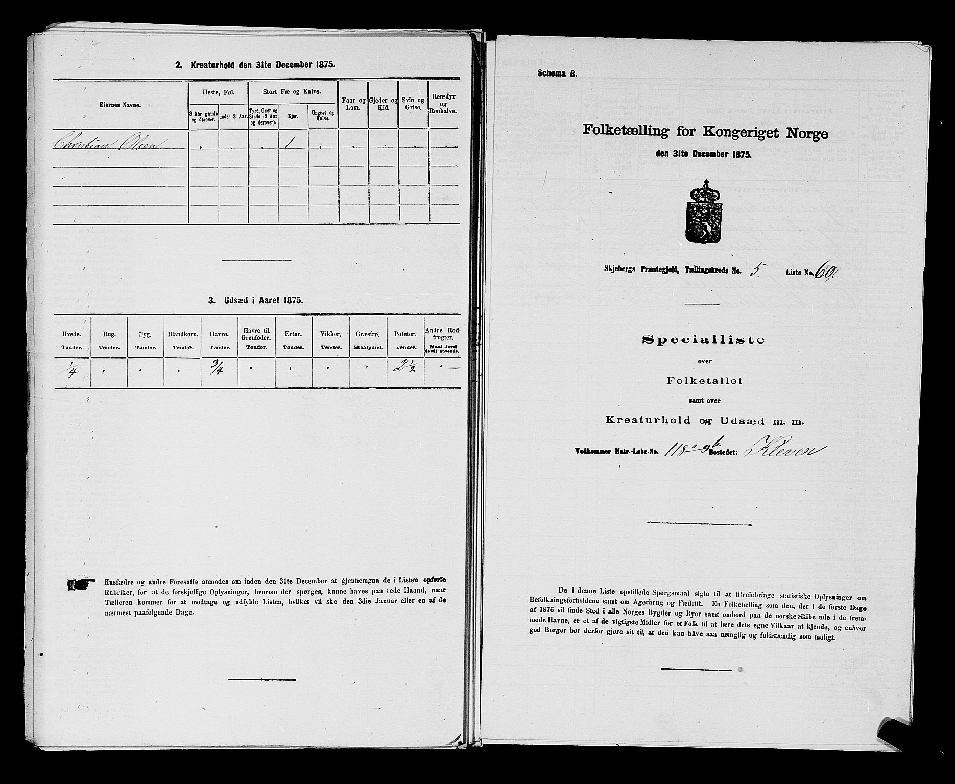 RA, Folketelling 1875 for 0115P Skjeberg prestegjeld, 1875, s. 1000