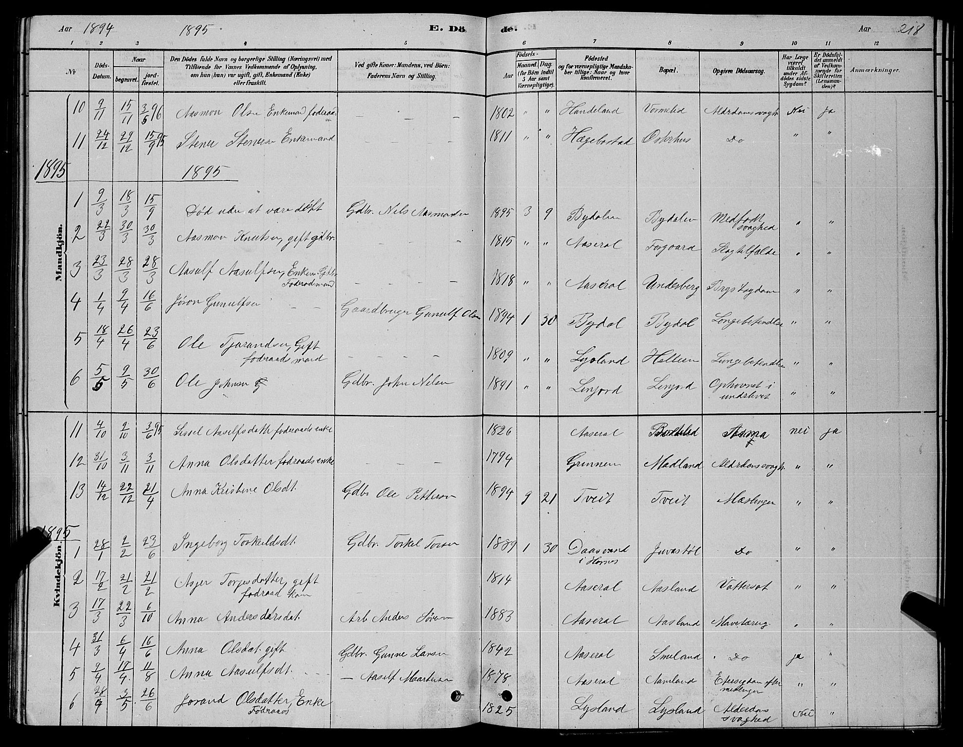 Åseral sokneprestkontor, AV/SAK-1111-0051/F/Fb/L0002: Klokkerbok nr. B 2, 1878-1899, s. 218