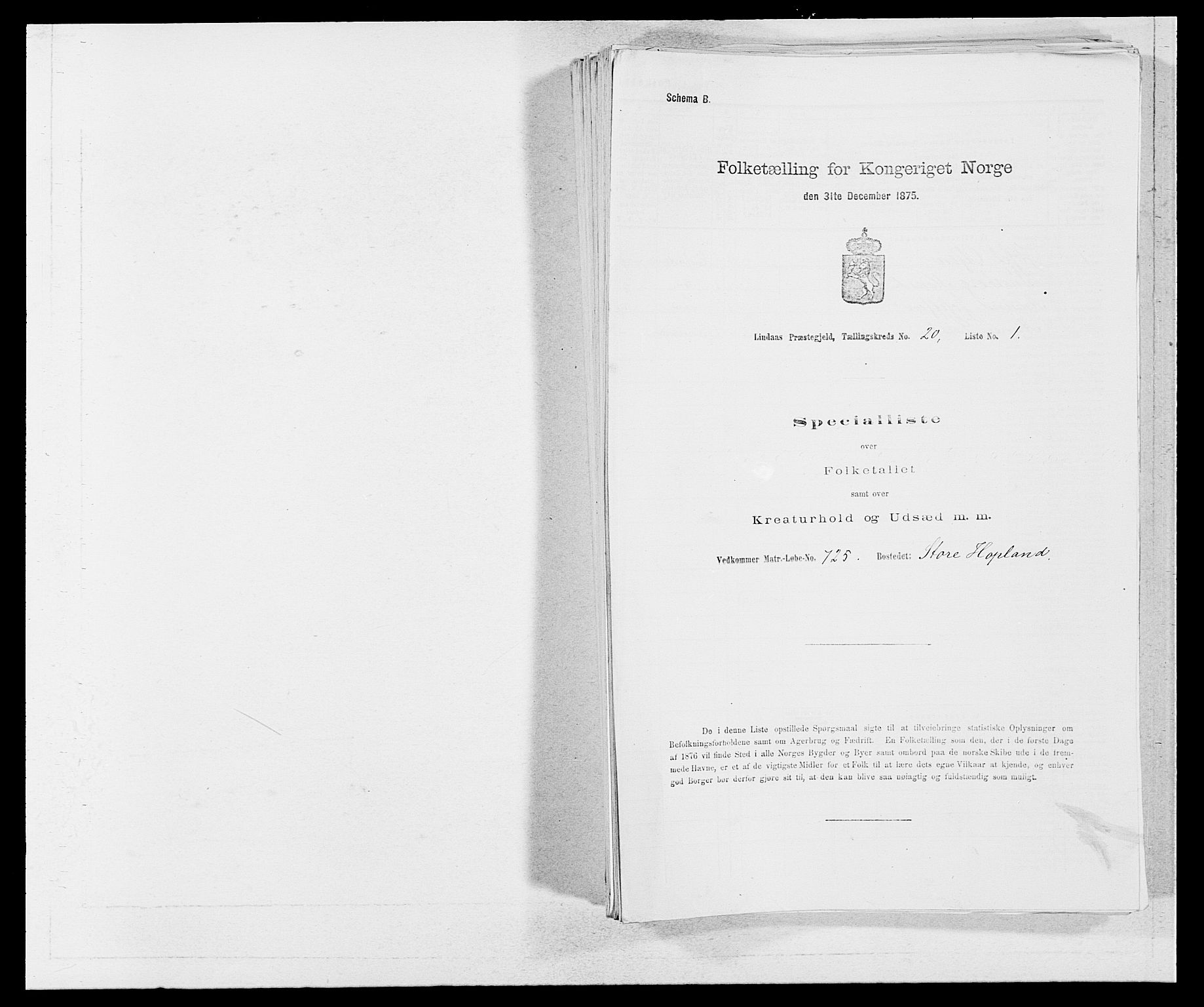 SAB, Folketelling 1875 for 1263P Lindås prestegjeld, 1875, s. 2197