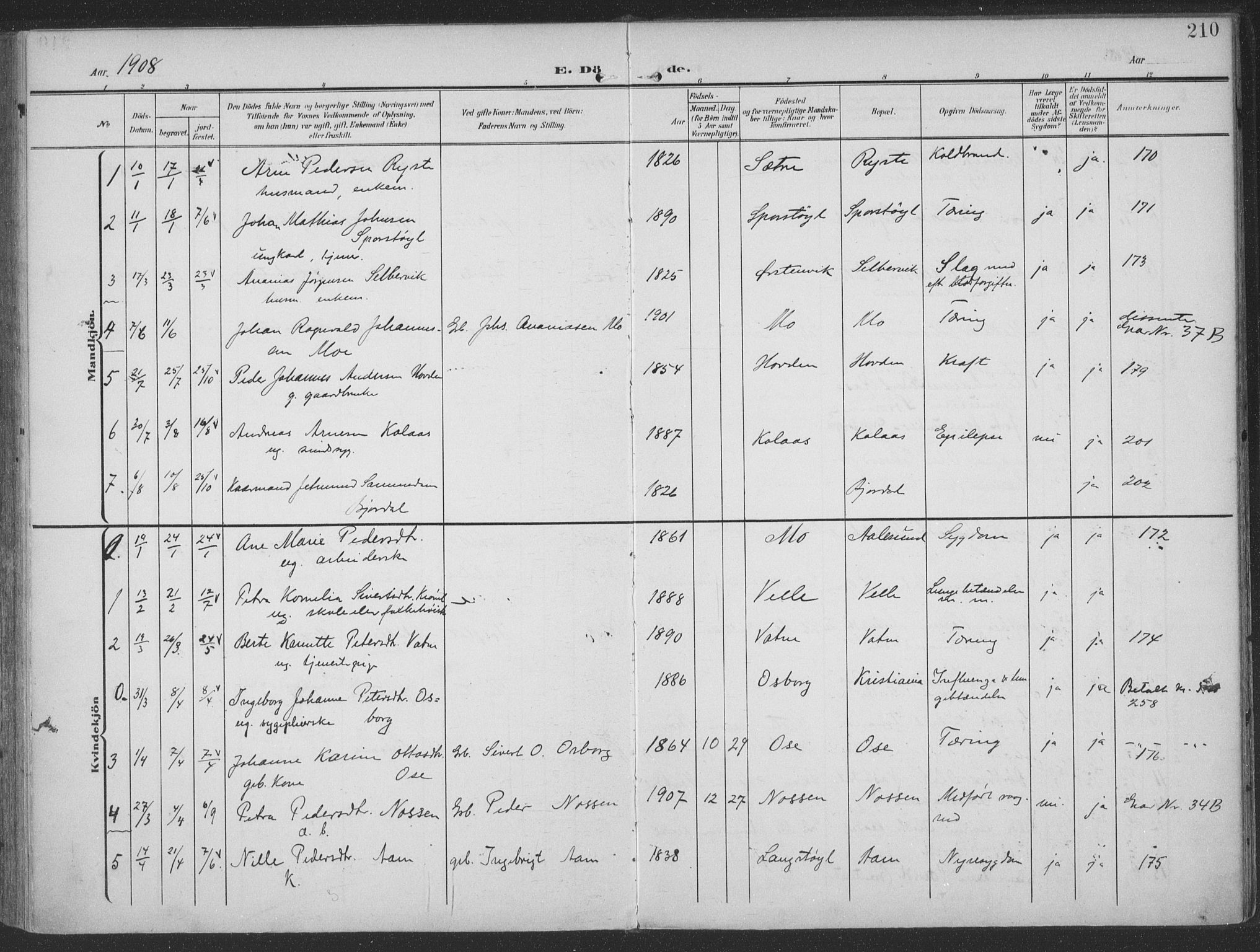 Ministerialprotokoller, klokkerbøker og fødselsregistre - Møre og Romsdal, AV/SAT-A-1454/513/L0178: Ministerialbok nr. 513A05, 1906-1919, s. 210