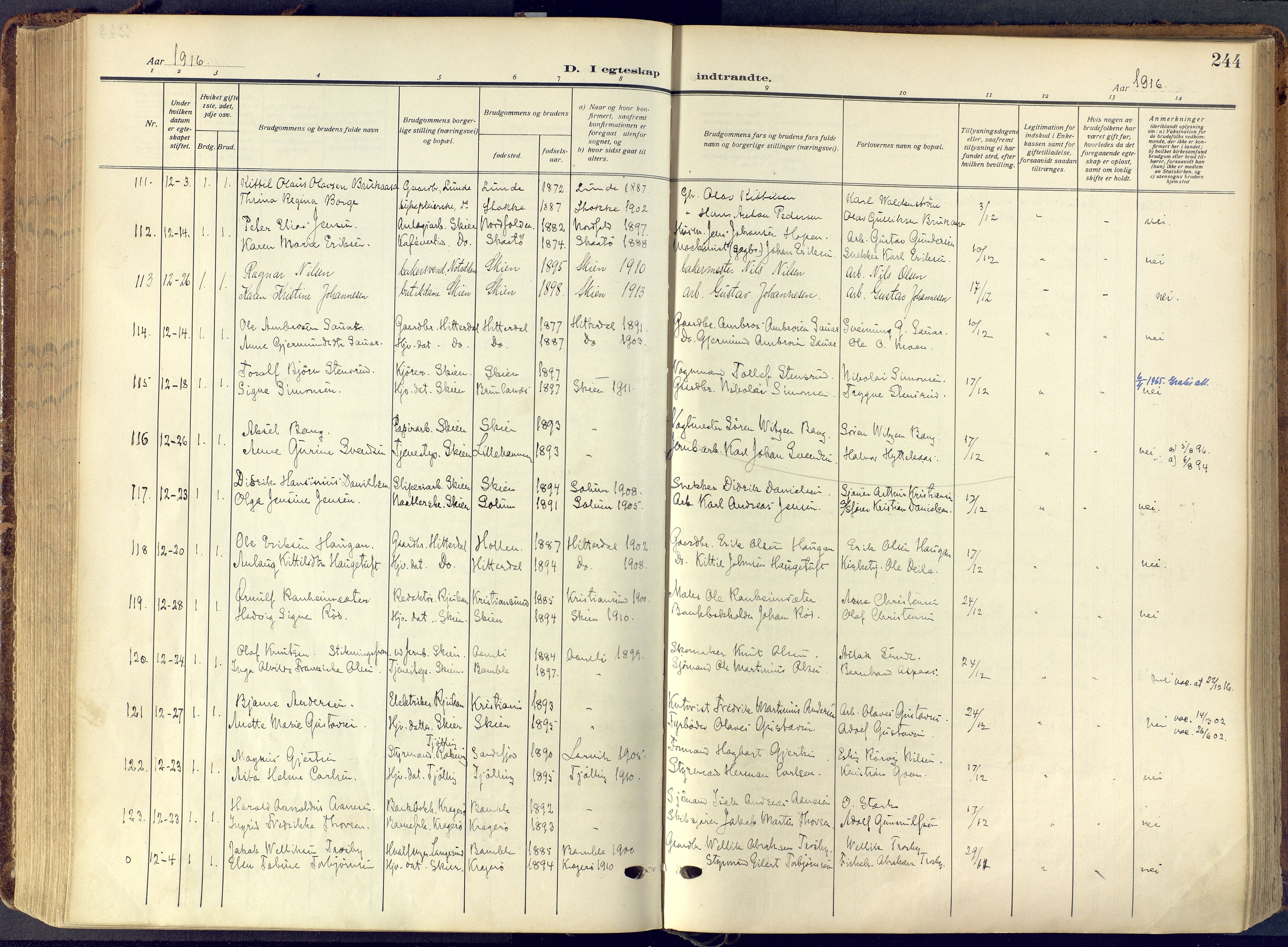 Skien kirkebøker, SAKO/A-302/F/Fa/L0013: Ministerialbok nr. 13, 1915-1921, s. 244