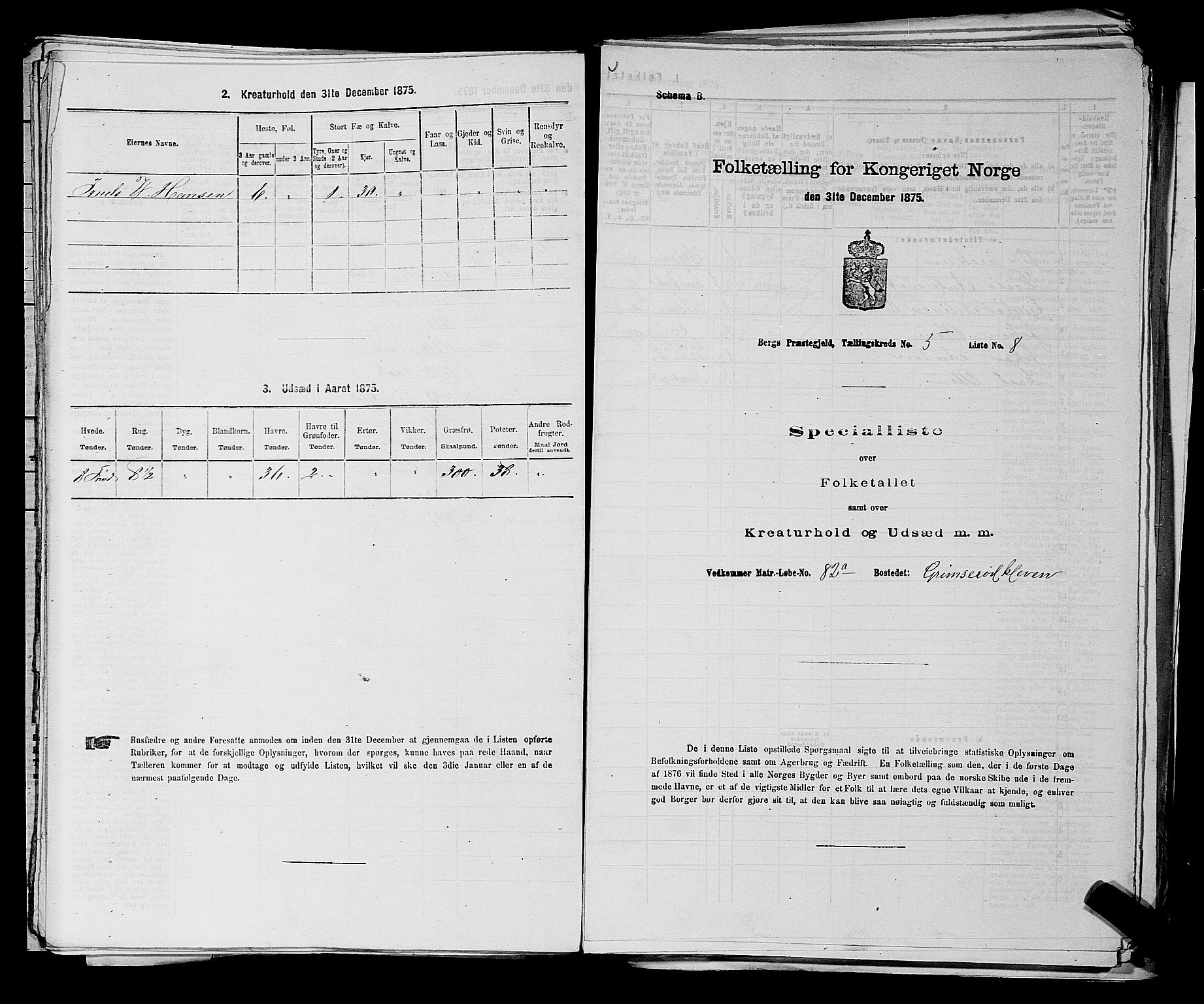 RA, Folketelling 1875 for 0116P Berg prestegjeld, 1875, s. 699