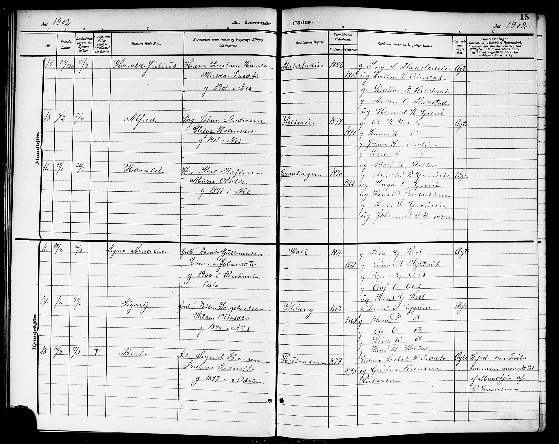 Nes prestekontor Kirkebøker, AV/SAO-A-10410/G/Ga/L0002: Klokkerbok nr. I 2, 1901-1912, s. 15