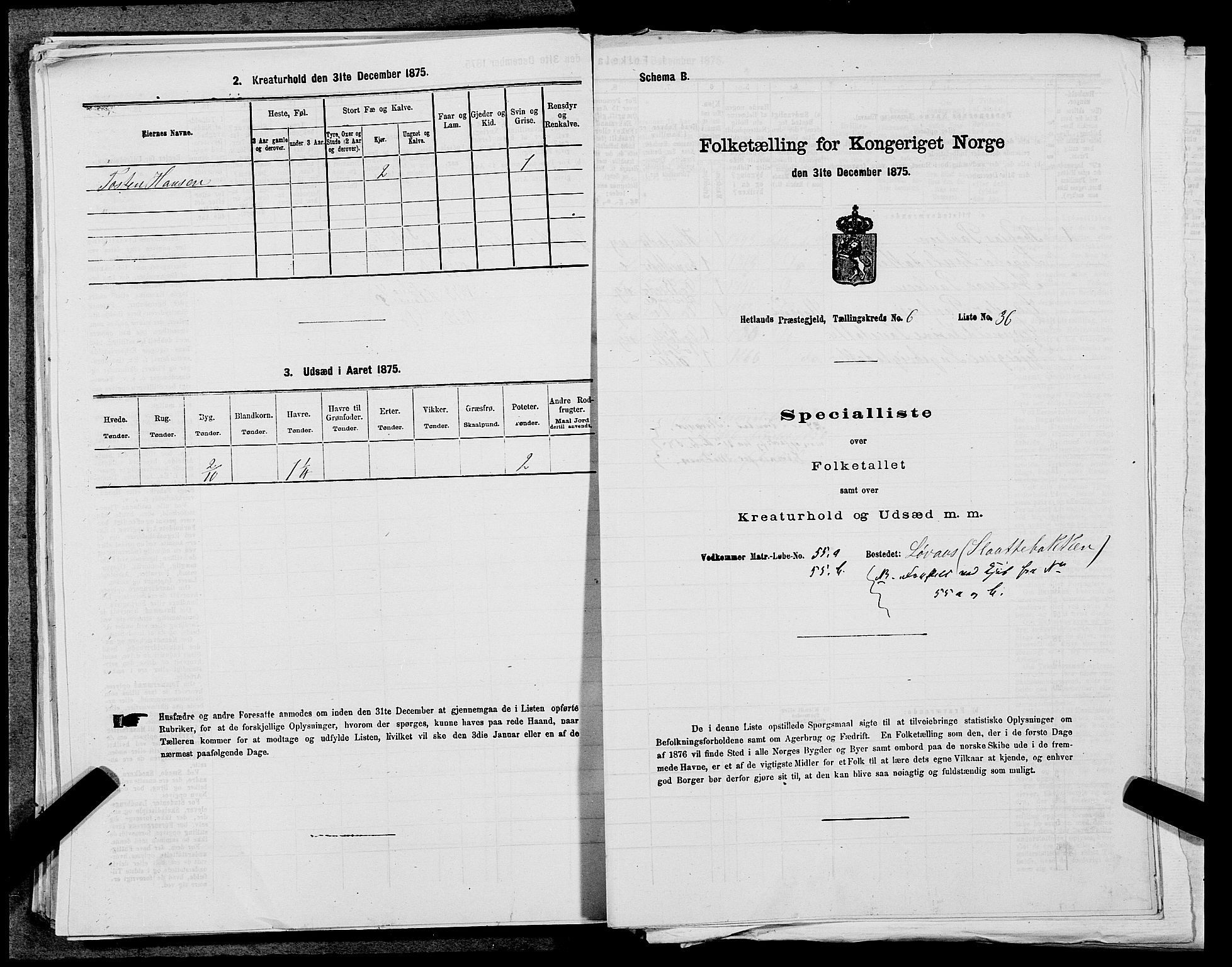 SAST, Folketelling 1875 for 1126P Hetland prestegjeld, 1875, s. 1423