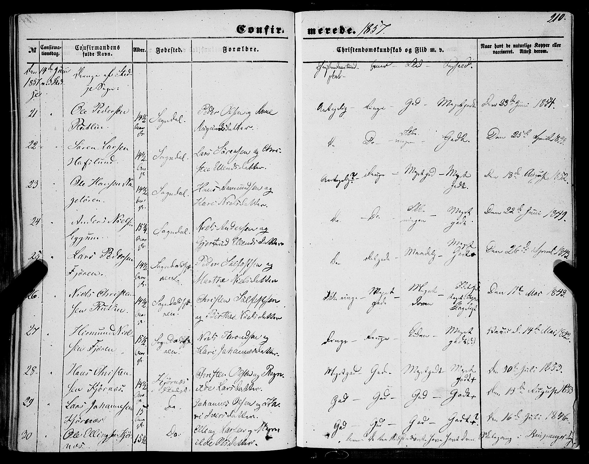 Sogndal sokneprestembete, AV/SAB-A-81301/H/Haa/Haaa/L0012I: Ministerialbok nr. A 12I, 1847-1859, s. 210