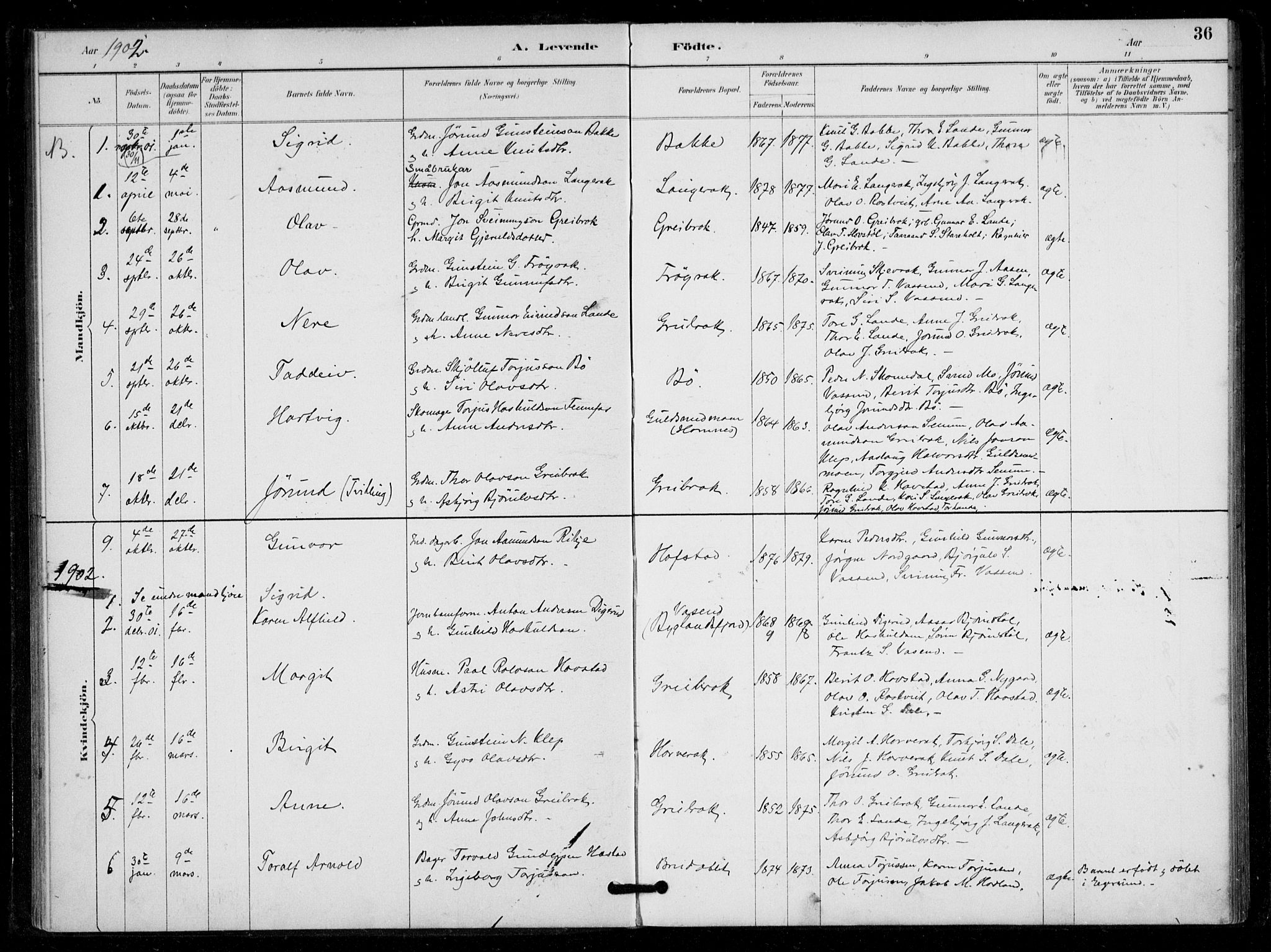 Bygland sokneprestkontor, AV/SAK-1111-0006/F/Fa/Fad/L0001: Ministerialbok nr. A 1, 1885-1906, s. 36