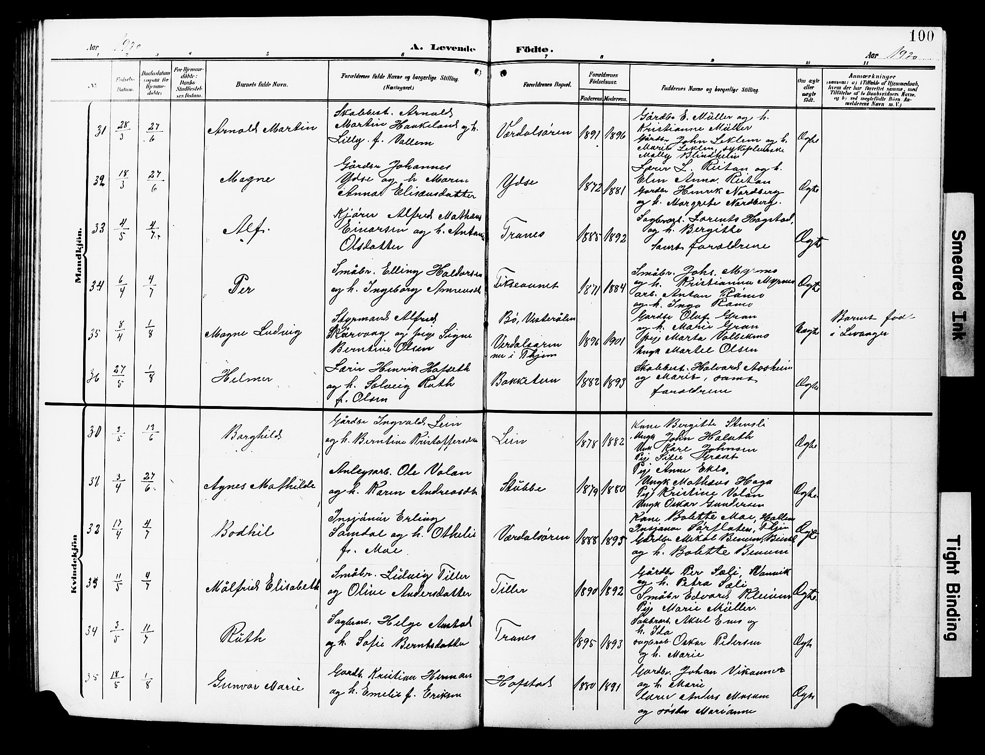 Ministerialprotokoller, klokkerbøker og fødselsregistre - Nord-Trøndelag, SAT/A-1458/723/L0258: Klokkerbok nr. 723C06, 1908-1927, s. 100