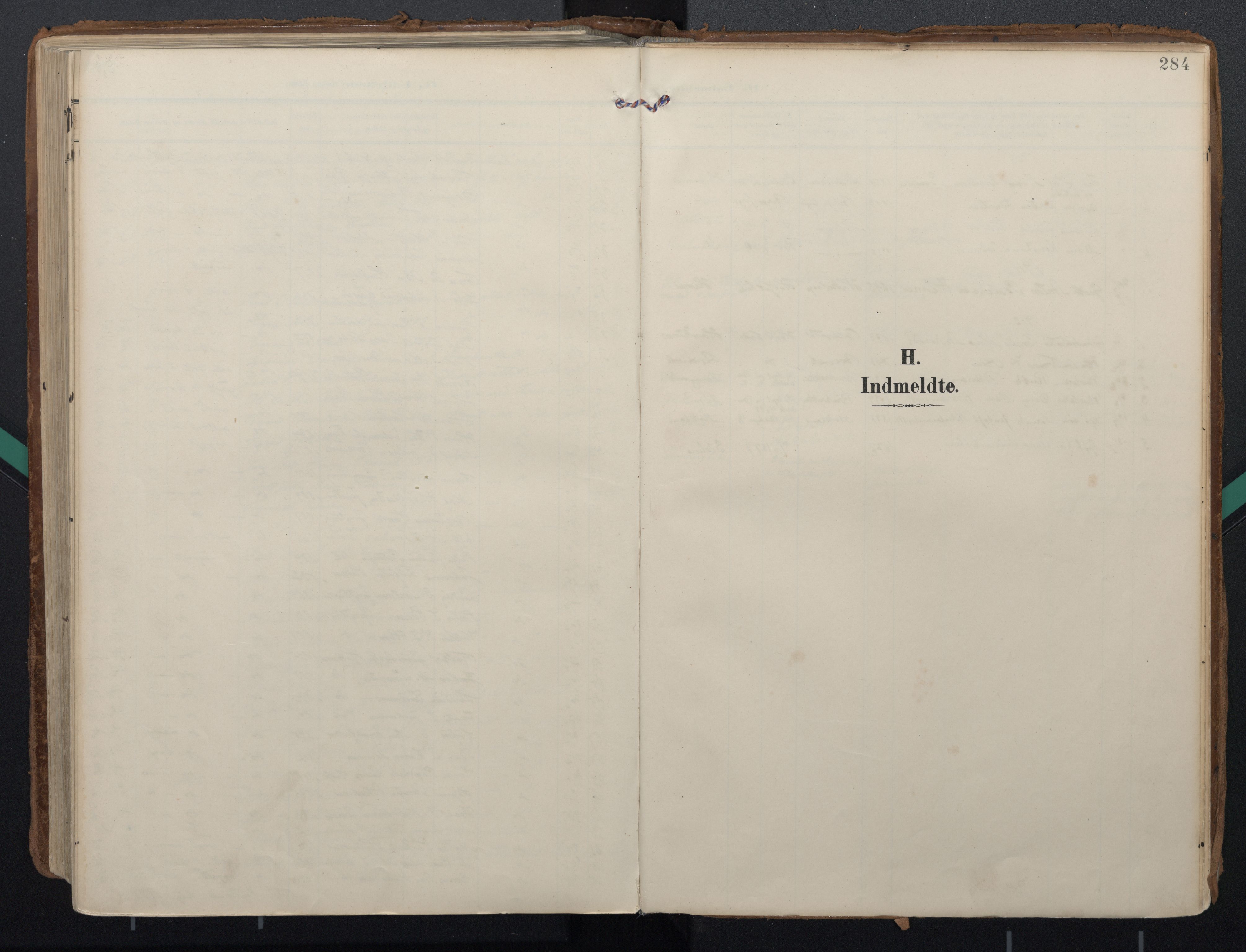 Ministerialprotokoller, klokkerbøker og fødselsregistre - Nordland, AV/SAT-A-1459/888/L1248: Ministerialbok nr. 888A14, 1904-1913, s. 284