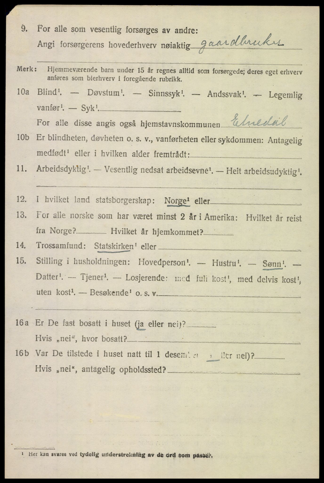 SAH, Folketelling 1920 for 0541 Etnedal herred, 1920, s. 2889