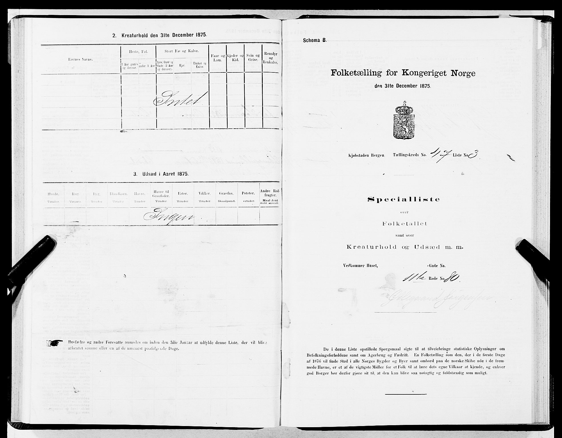 SAB, Folketelling 1875 for 1301 Bergen kjøpstad, 1875, s. 2441