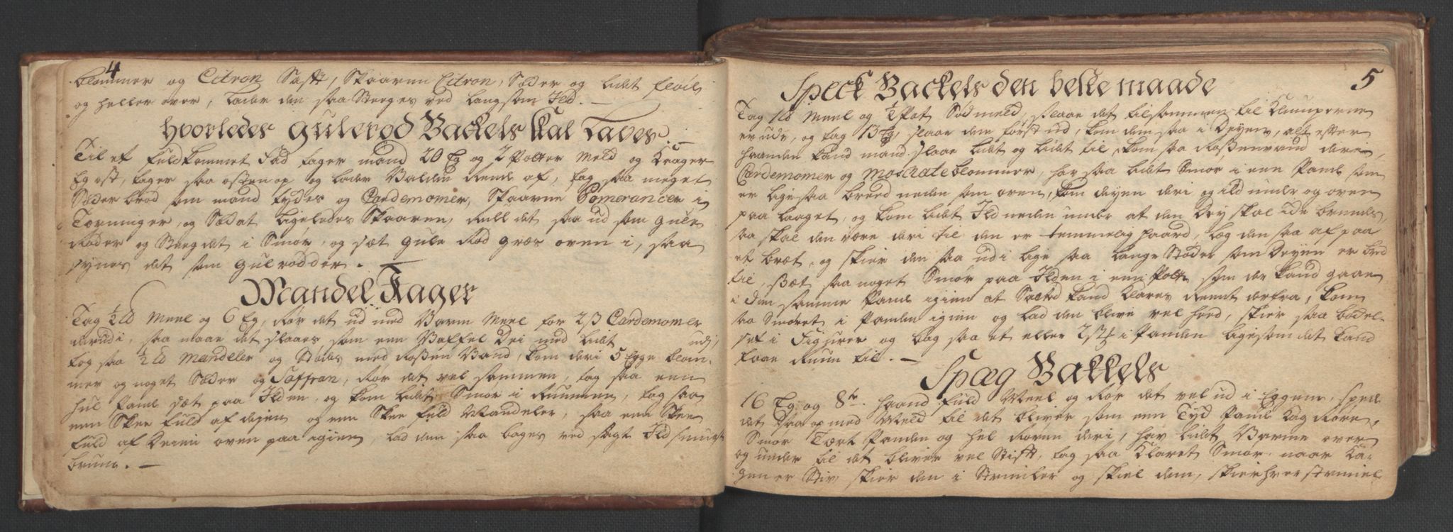 Manuskriptsamlingen, AV/RA-EA-3667/H/L0047: Familiestamrulle vedkommende Eliesonske, Ankerske, Colletske, Kiønigske m.m. familier - fra slutningen av 1600 til 1874 osv, 1600-1874, s. 4-5