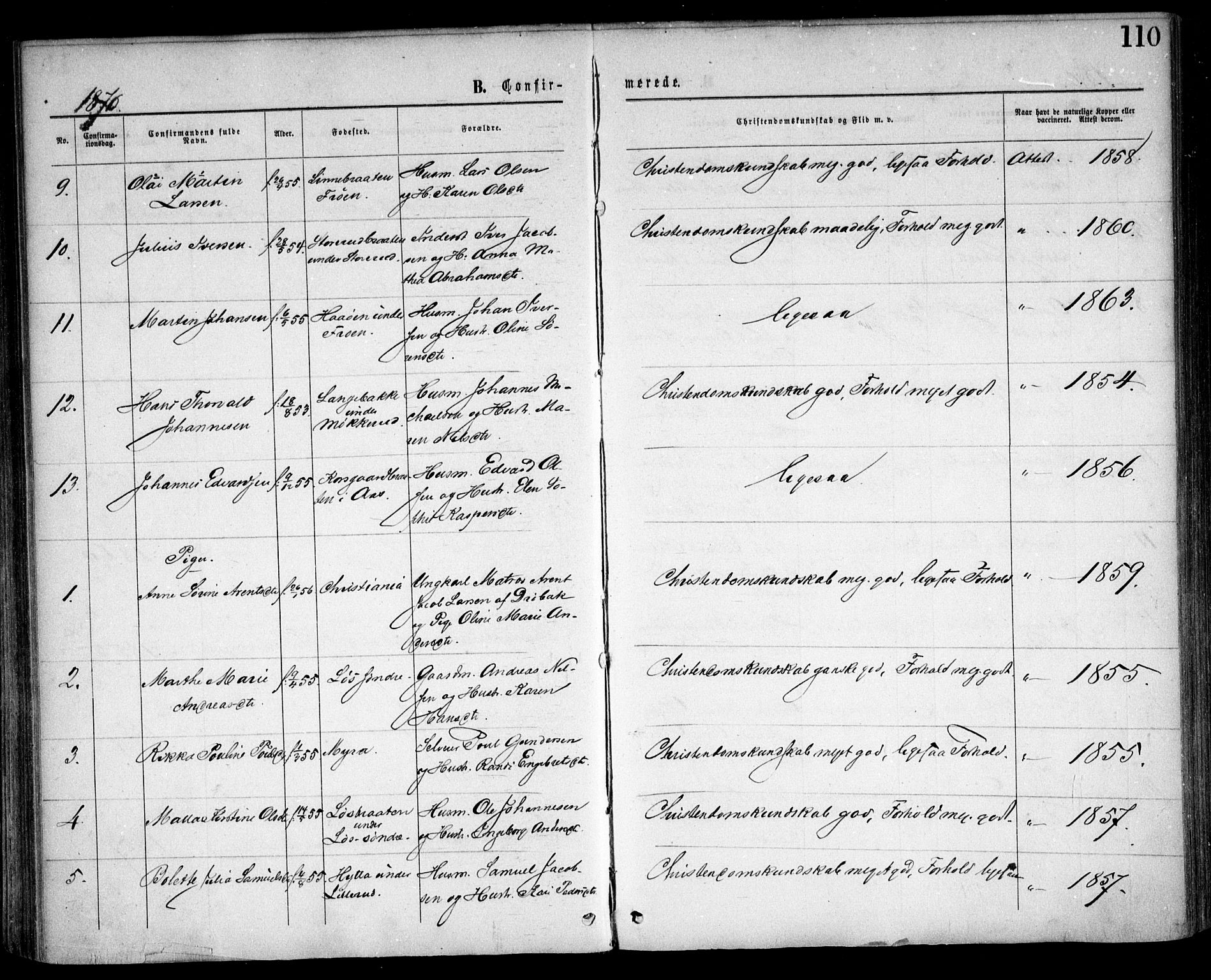 Nesodden prestekontor Kirkebøker, AV/SAO-A-10013/F/Fa/L0008: Ministerialbok nr. I 8, 1869-1879, s. 110