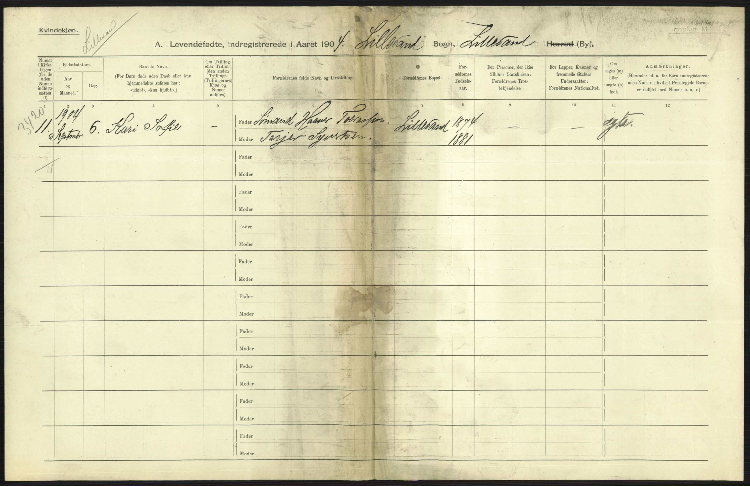 Statistisk sentralbyrå, Sosiodemografiske emner, Befolkning, AV/RA-S-2228/D/Df/Dfa/Dfab/L0010: Nedenes amt: Fødte, gifte, døde, 1904, s. 245