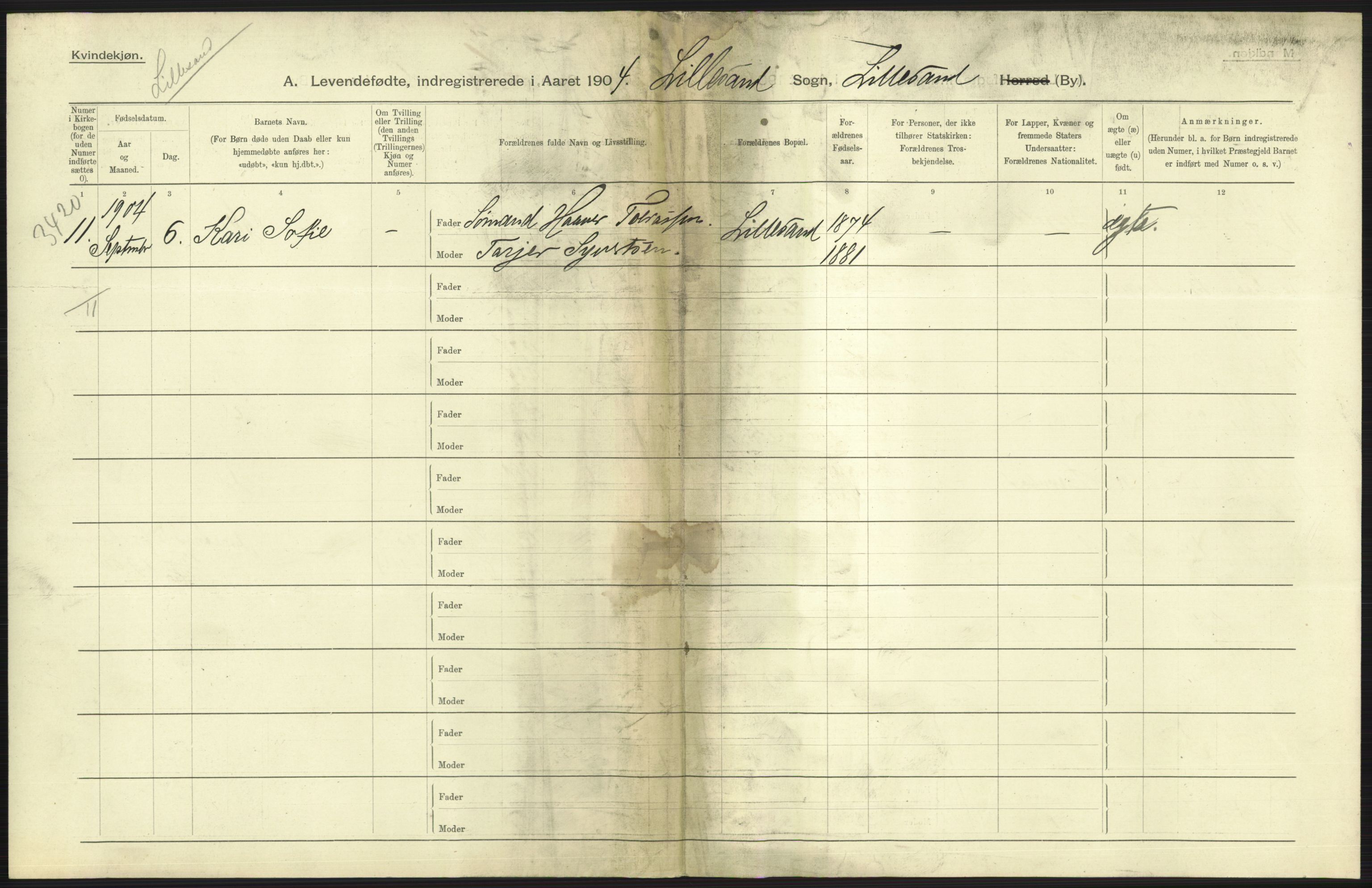 Statistisk sentralbyrå, Sosiodemografiske emner, Befolkning, RA/S-2228/D/Df/Dfa/Dfab/L0010: Nedenes amt: Fødte, gifte, døde, 1904, s. 245