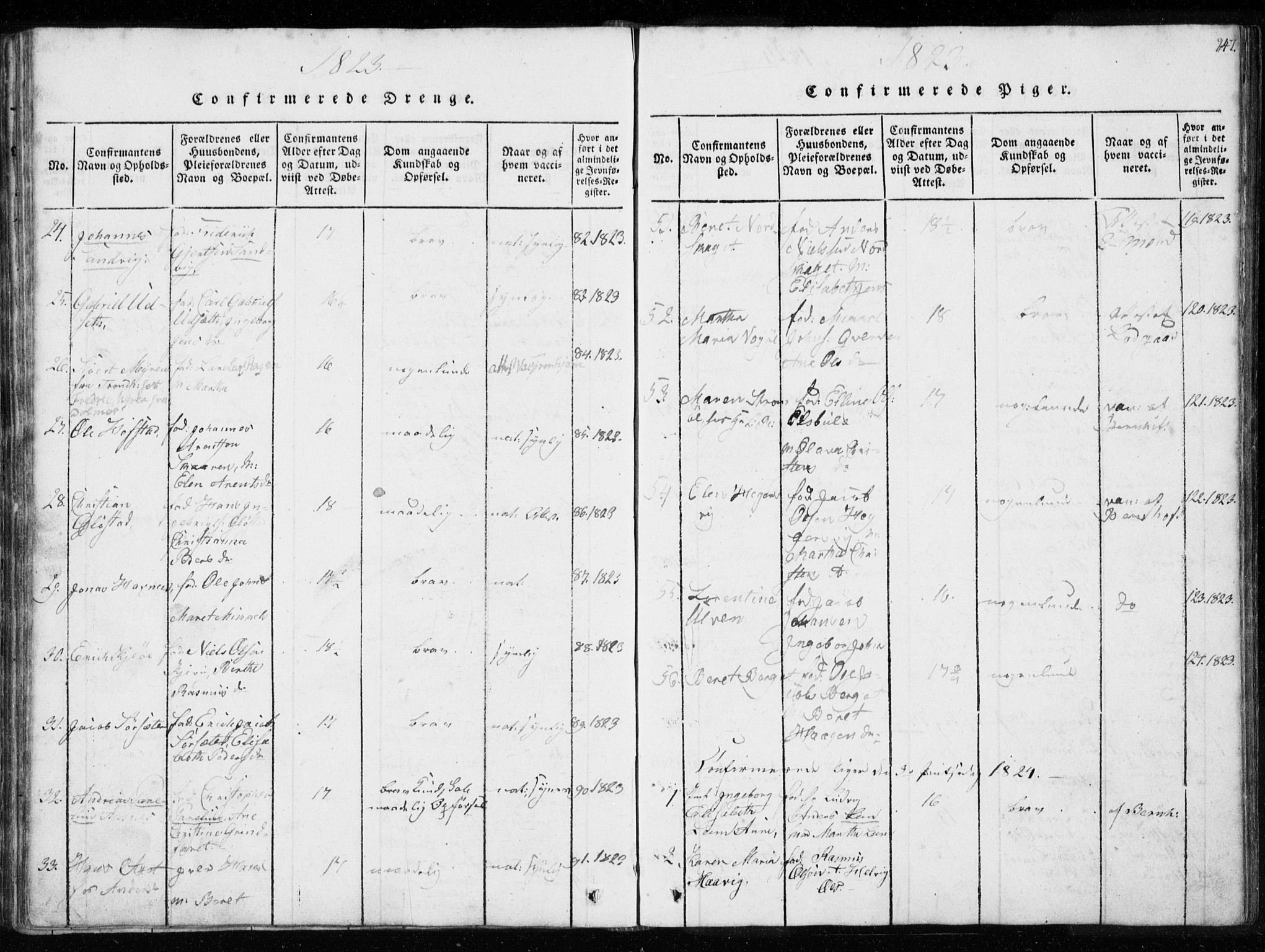 Ministerialprotokoller, klokkerbøker og fødselsregistre - Sør-Trøndelag, SAT/A-1456/634/L0527: Ministerialbok nr. 634A03, 1818-1826, s. 247