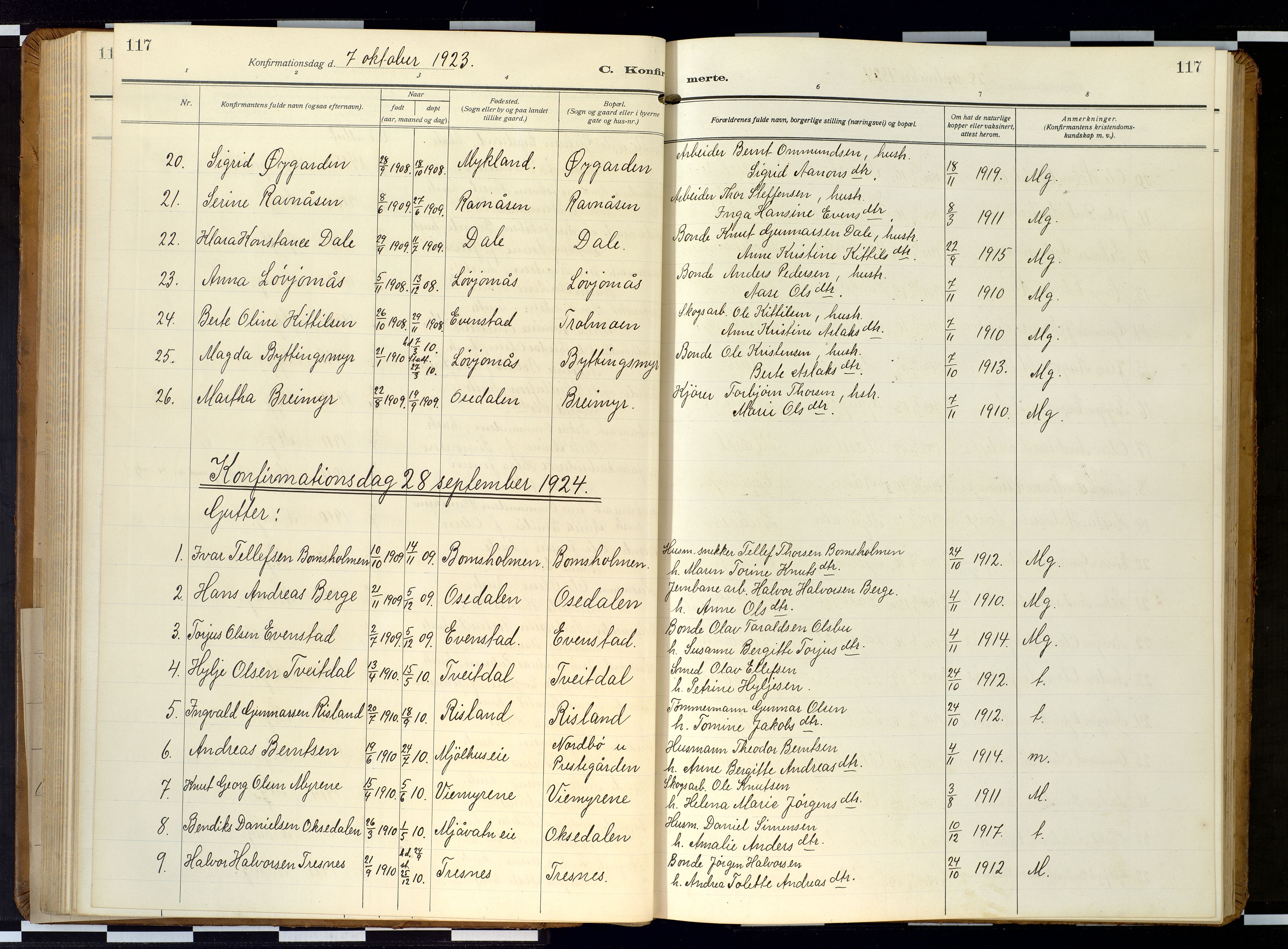 Froland sokneprestkontor, AV/SAK-1111-0013/F/Fb/L0011: Klokkerbok nr. B 11, 1921-1947, s. 117