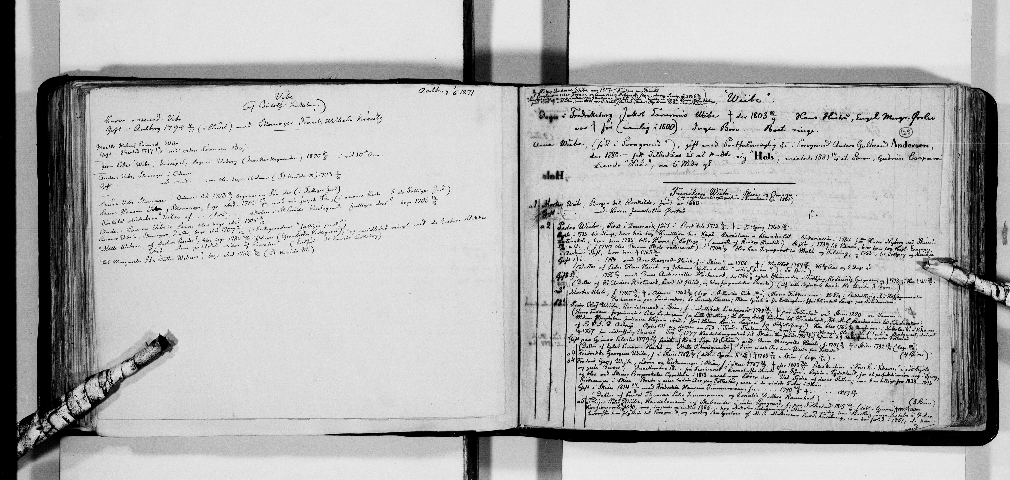 Lassens samlinger, AV/RA-PA-0051/F/Fa/L0046: Personalhistoriske og genealogiske opptegnelser: Welhaven - Windingstad, 1500-1907