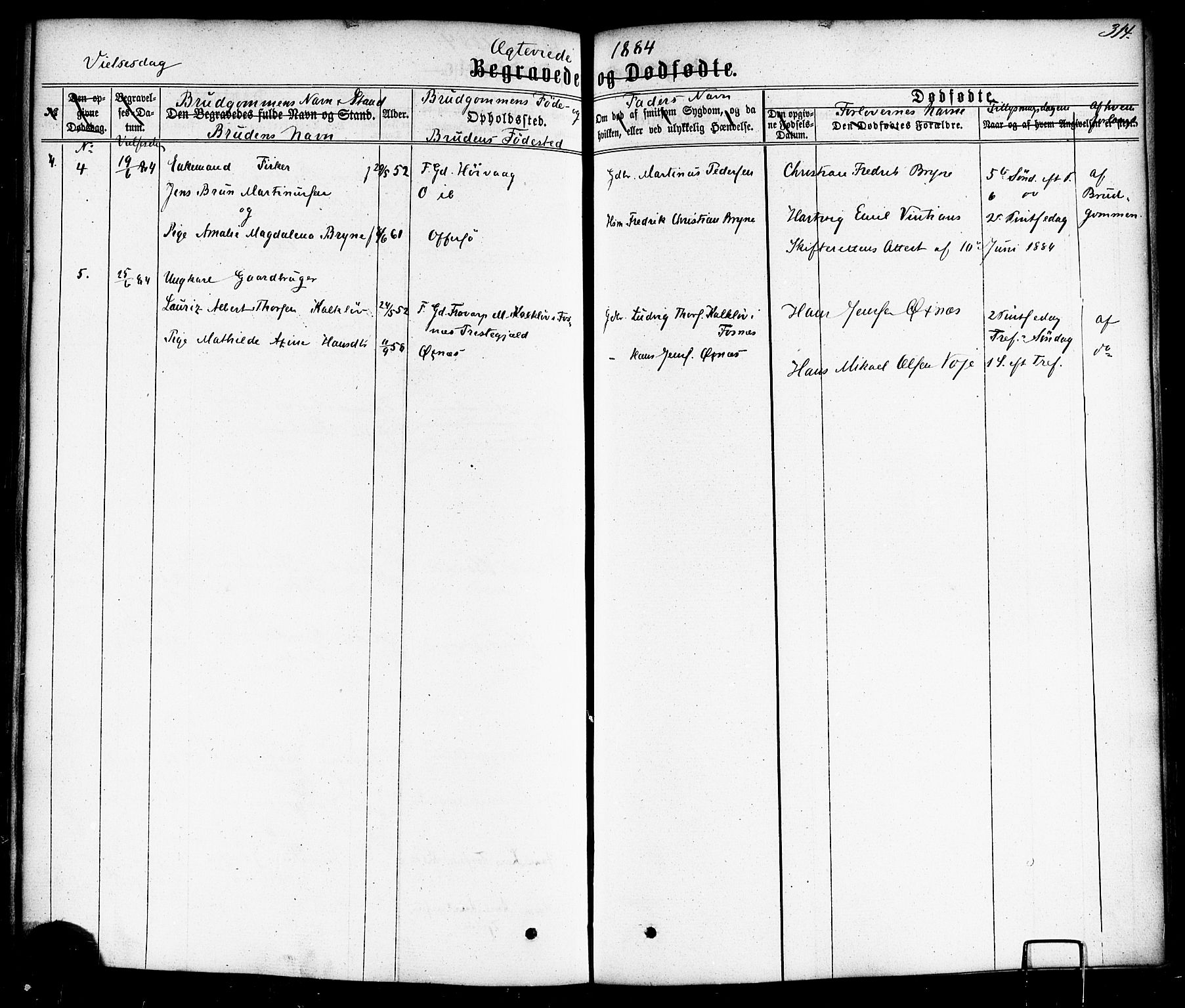 Ministerialprotokoller, klokkerbøker og fødselsregistre - Nordland, AV/SAT-A-1459/872/L1034: Ministerialbok nr. 872A09, 1864-1884, s. 314