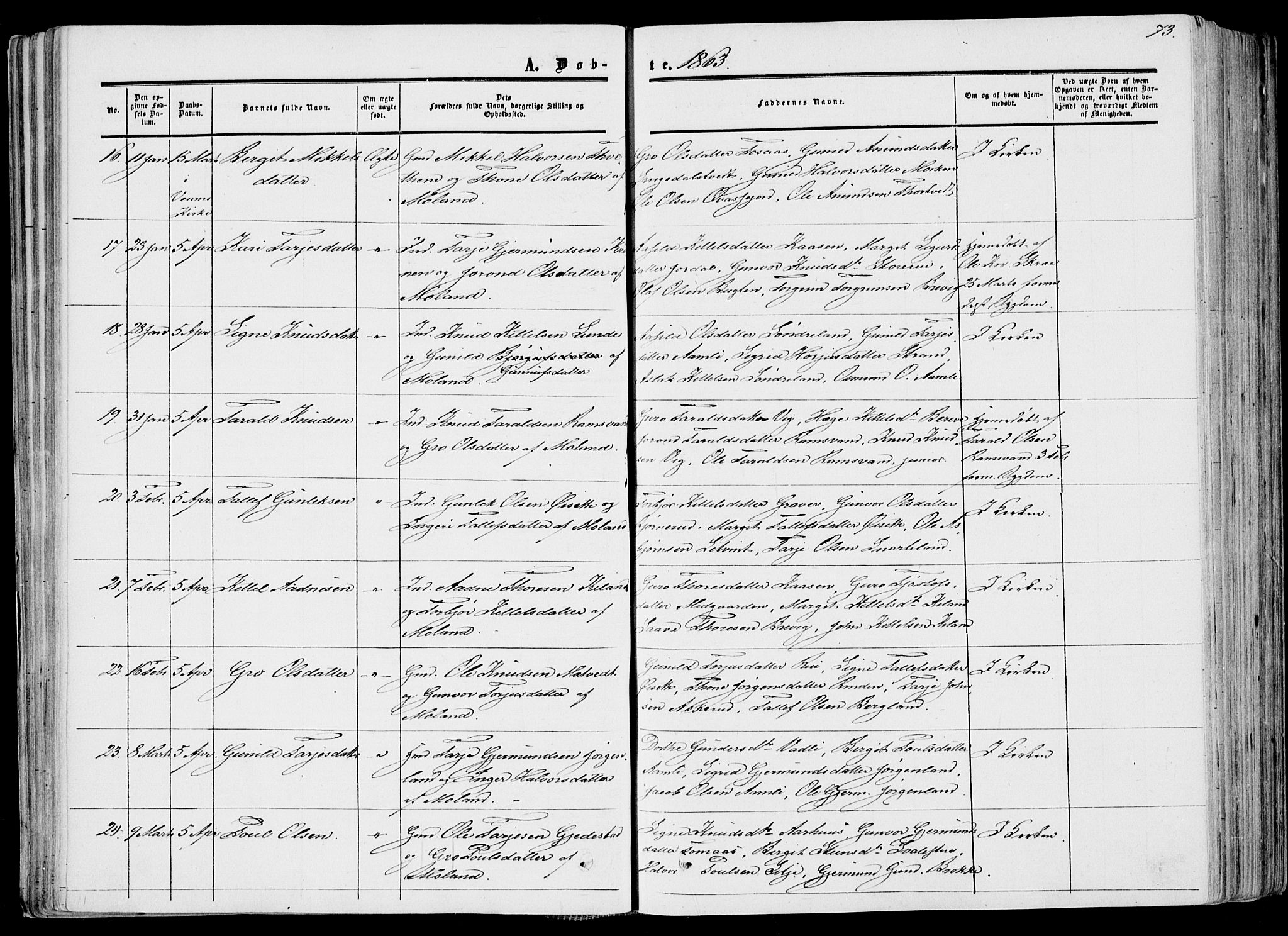 Fyresdal kirkebøker, AV/SAKO-A-263/F/Fa/L0005: Ministerialbok nr. I 5, 1855-1871, s. 73