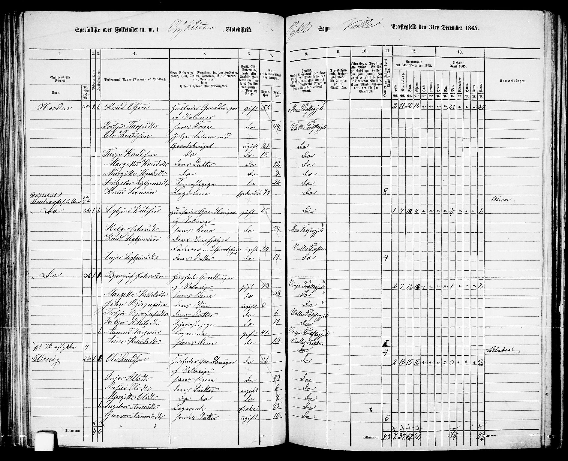 RA, Folketelling 1865 for 0940P Valle prestegjeld, 1865, s. 85