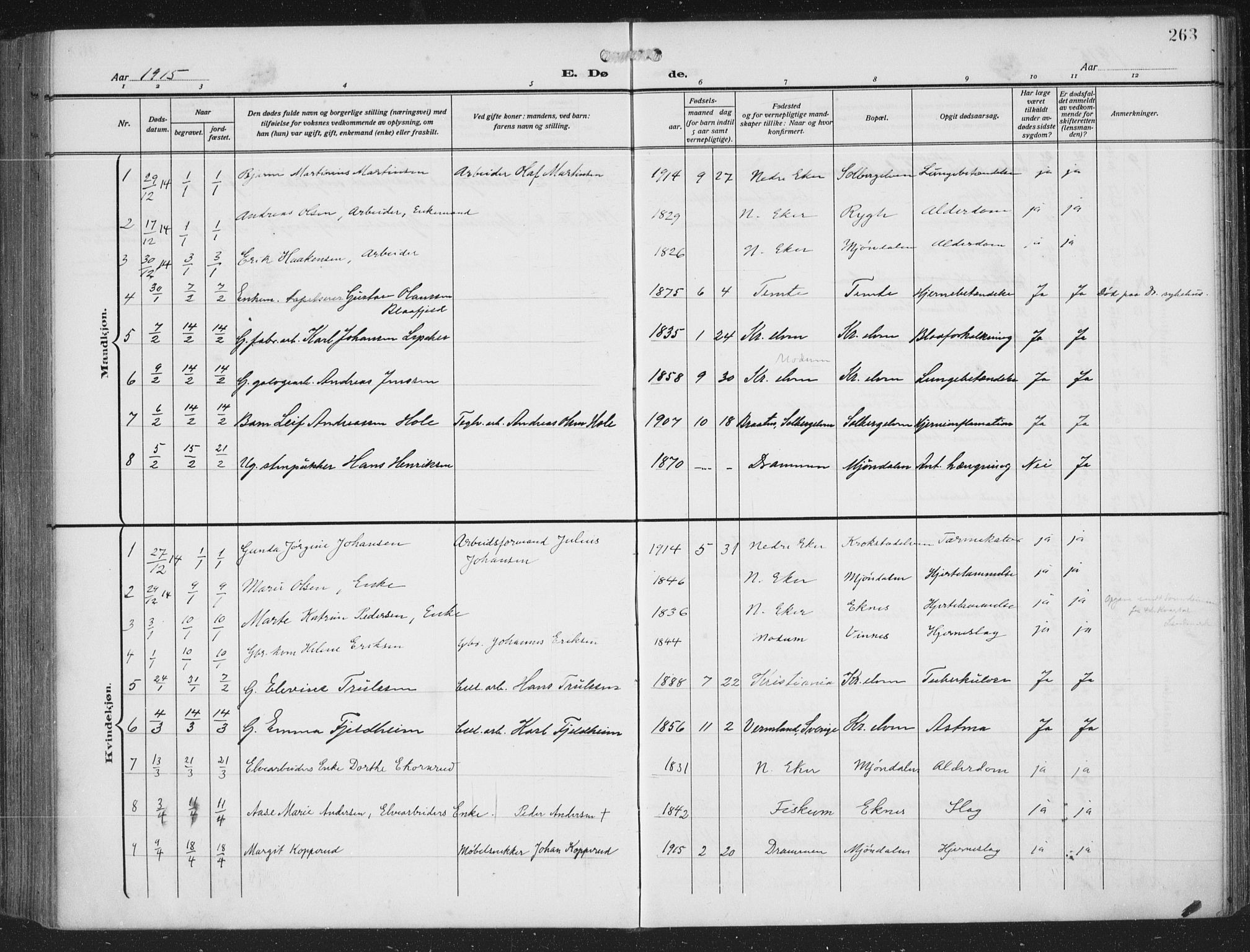 Nedre Eiker kirkebøker, AV/SAKO-A-612/F/Fa/L0007: Ministerialbok nr. 7, 1912-1918, s. 263