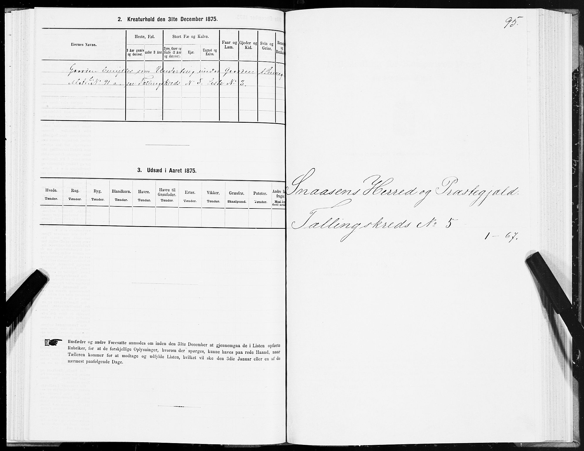 SAT, Folketelling 1875 for 1736P Snåsa prestegjeld, 1875, s. 2095