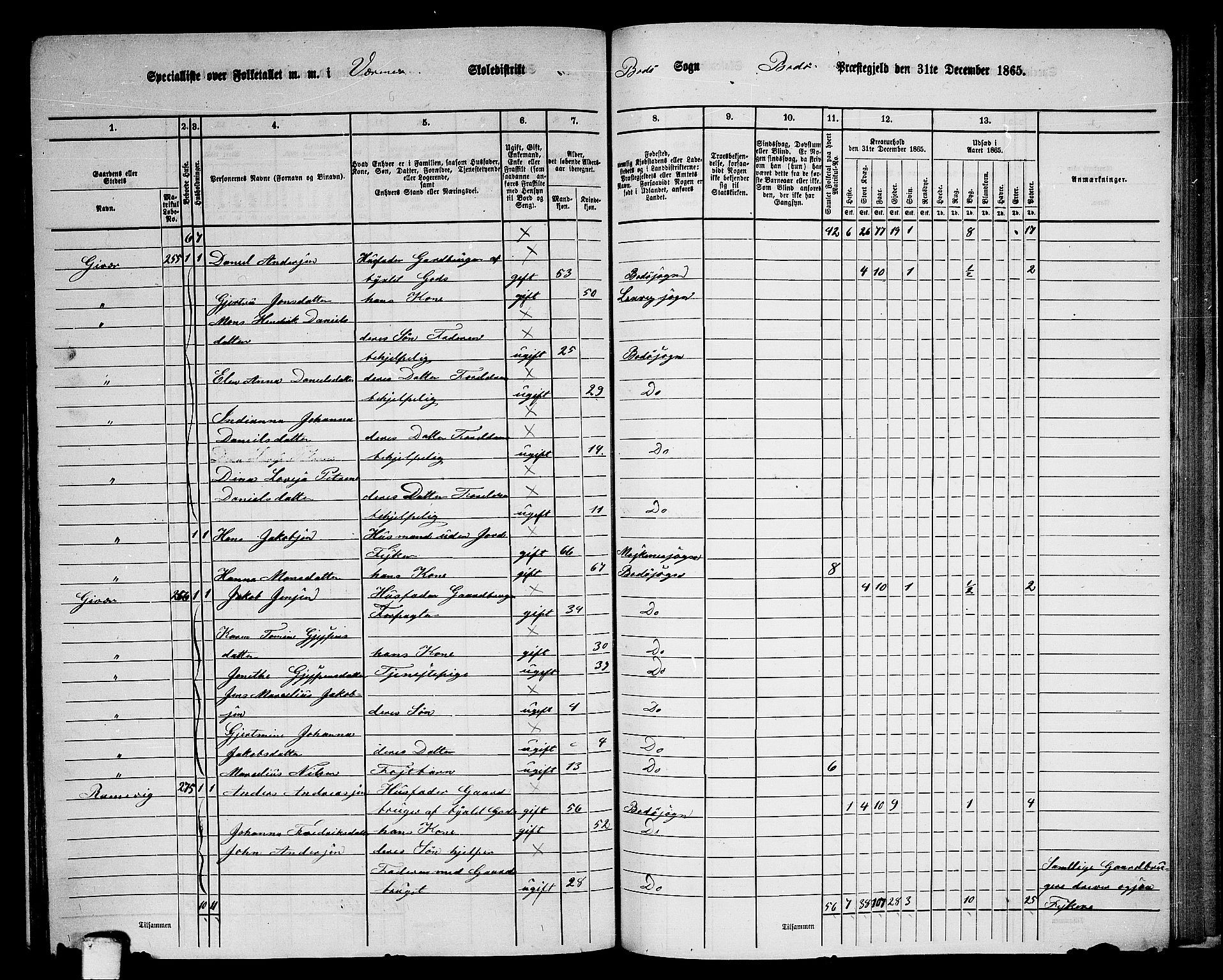 RA, Folketelling 1865 for 1843L Bodø prestegjeld, Bodø landsokn, 1865, s. 138