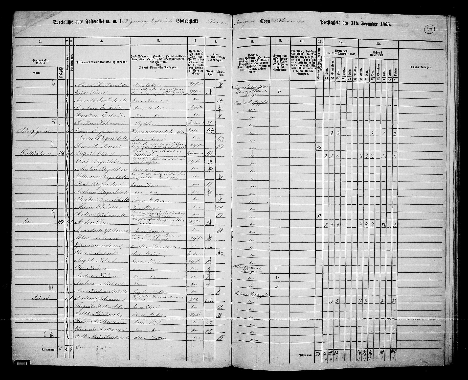 RA, Folketelling 1865 for 0120P Rødenes prestegjeld, 1865, s. 102