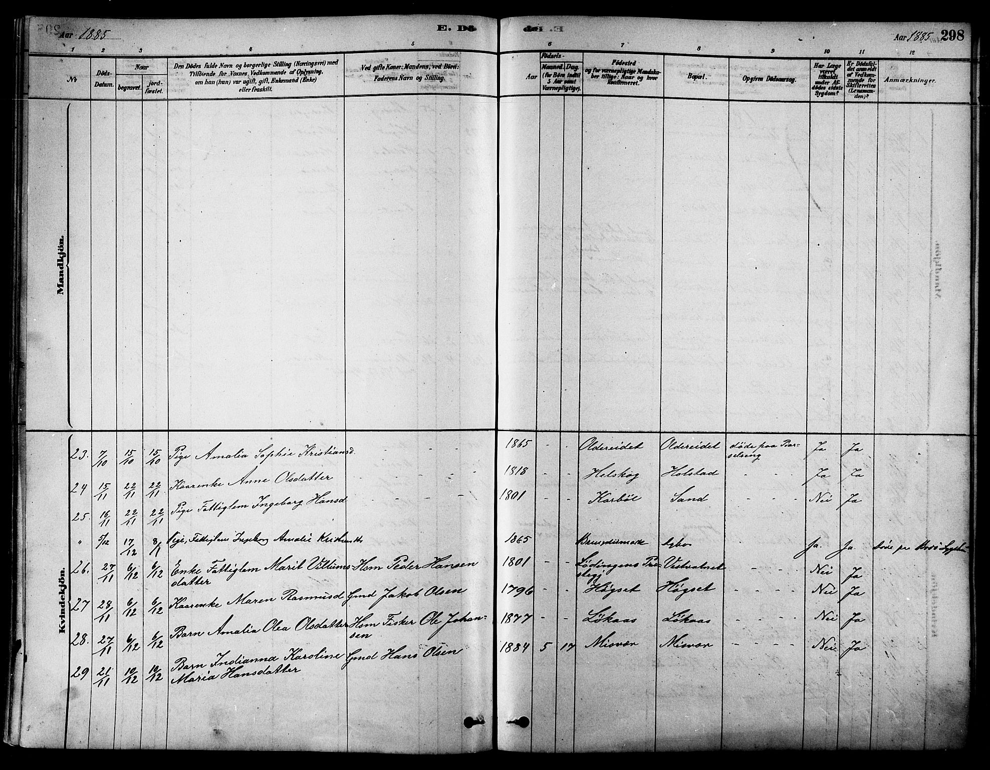 Ministerialprotokoller, klokkerbøker og fødselsregistre - Nordland, SAT/A-1459/852/L0740: Ministerialbok nr. 852A10, 1878-1894, s. 298