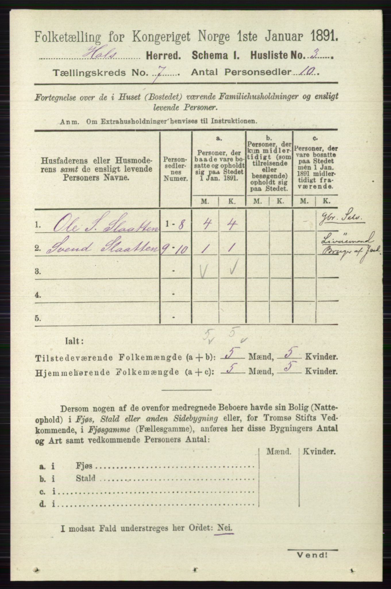 RA, Folketelling 1891 for 0620 Hol herred, 1891, s. 1978