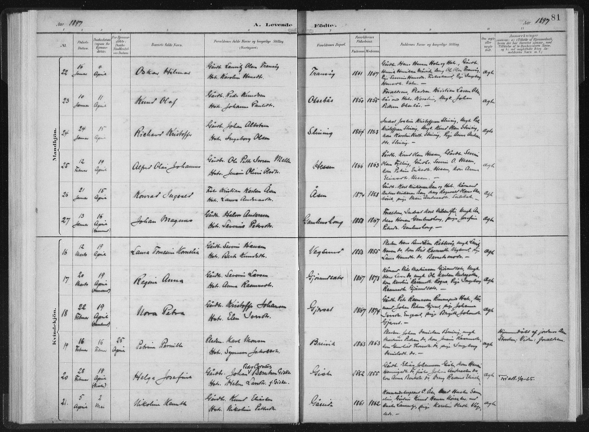 Ministerialprotokoller, klokkerbøker og fødselsregistre - Møre og Romsdal, AV/SAT-A-1454/528/L0405: Ministerialbok nr. 528A14, 1891-1906, s. 81