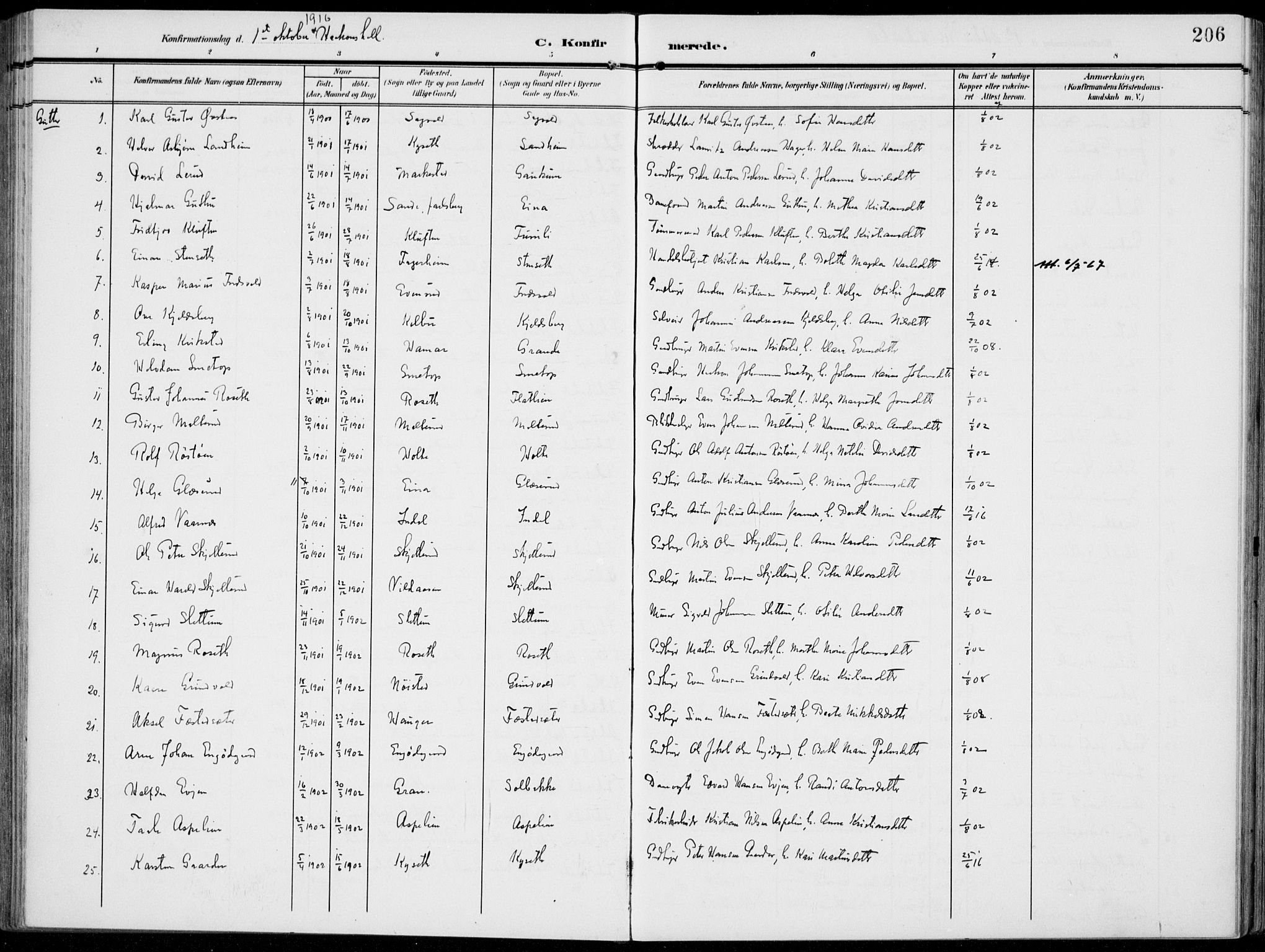 Vestre Toten prestekontor, SAH/PREST-108/H/Ha/Haa/L0014: Ministerialbok nr. 14, 1907-1920, s. 206