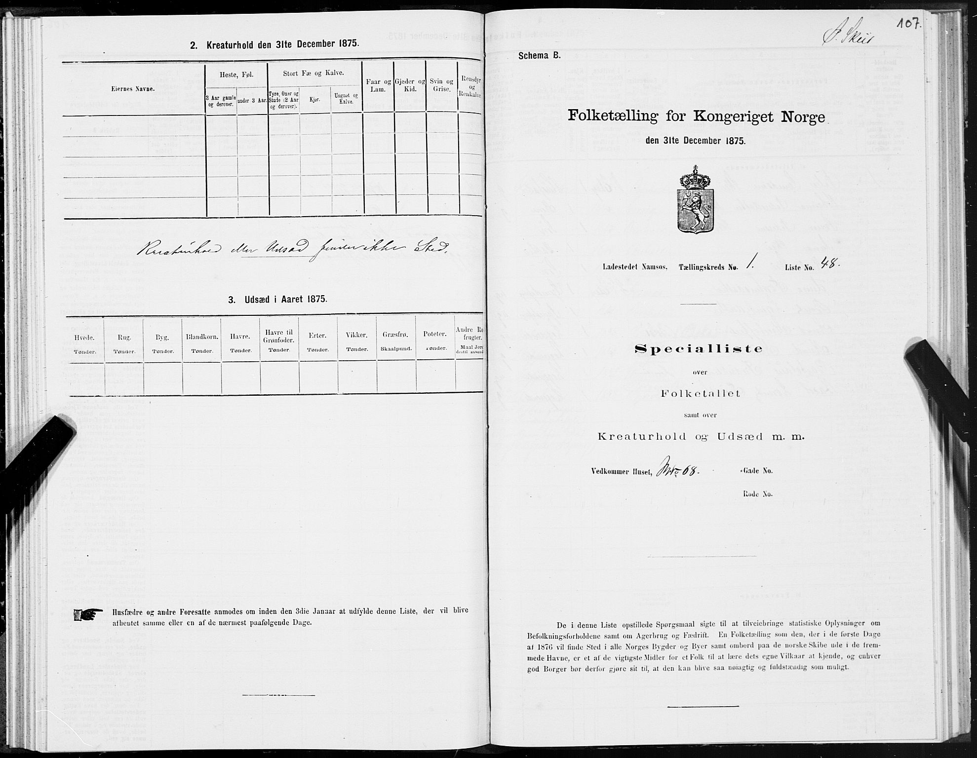 SAT, Folketelling 1875 for 1703B Namsos prestegjeld, Namsos ladested, 1875, s. 107