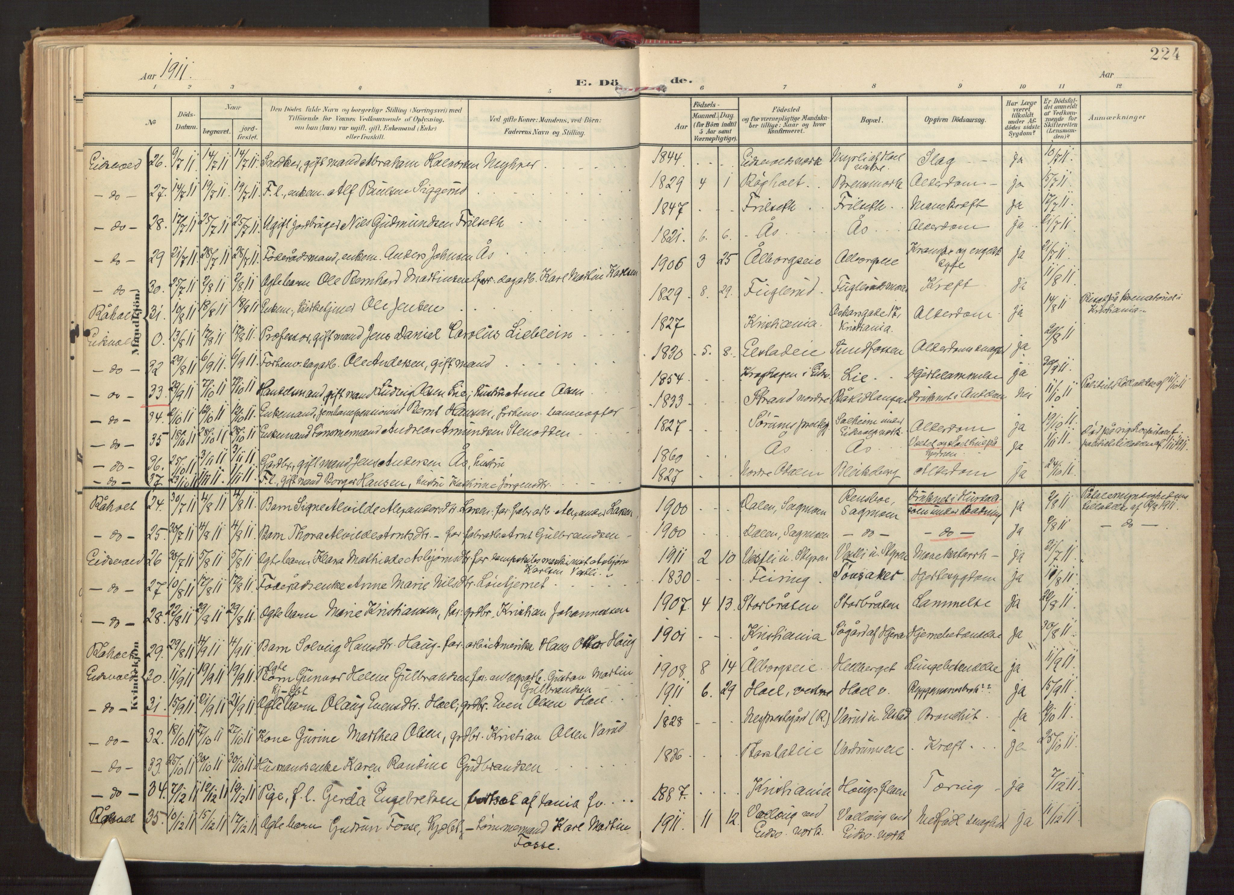 Eidsvoll prestekontor Kirkebøker, AV/SAO-A-10888/F/Fa/L0008: Ministerialbok nr. I 8, 1908-1920, s. 224