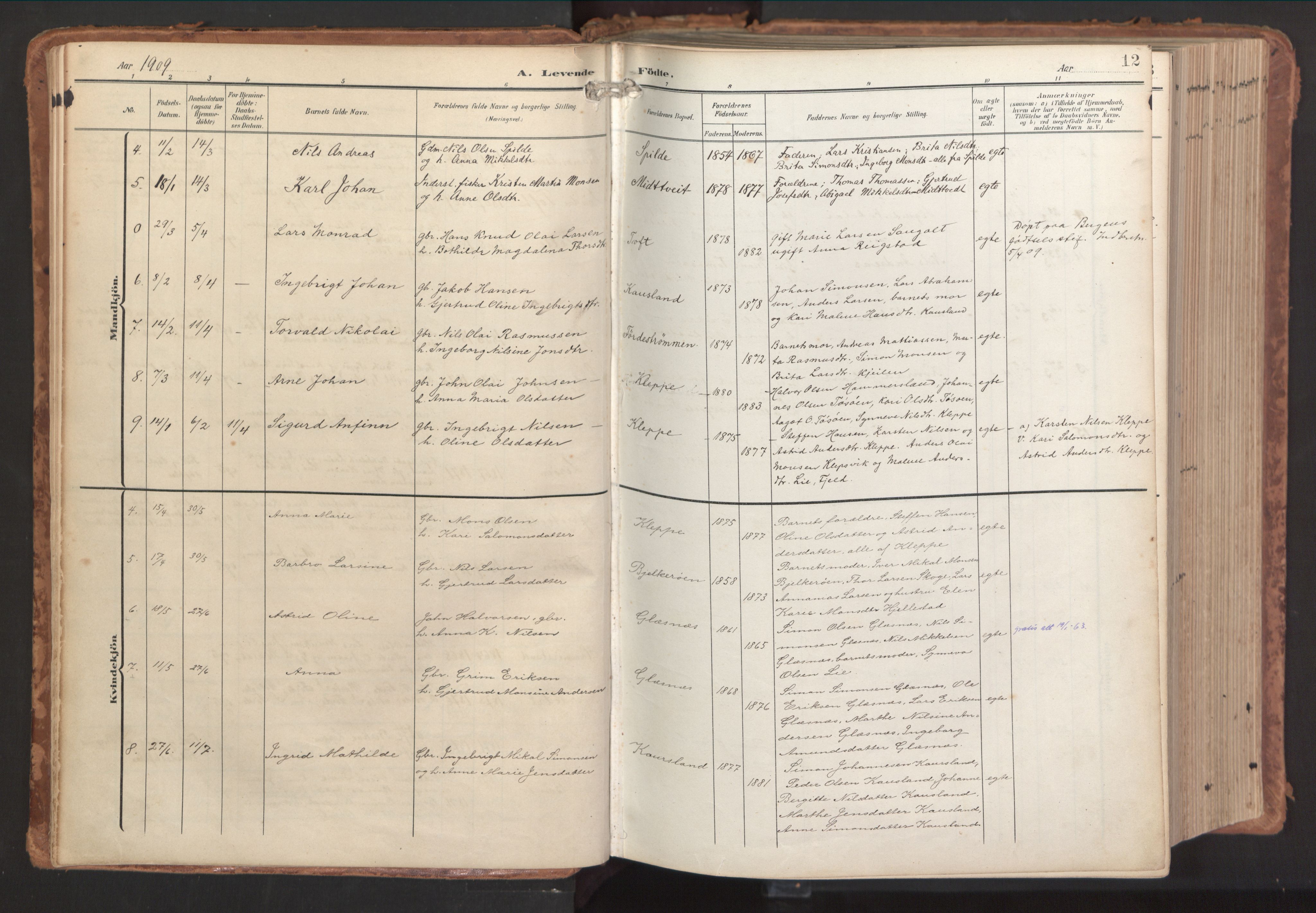 Sund sokneprestembete, AV/SAB-A-99930: Ministerialbok nr. B 2, 1907-1926, s. 12