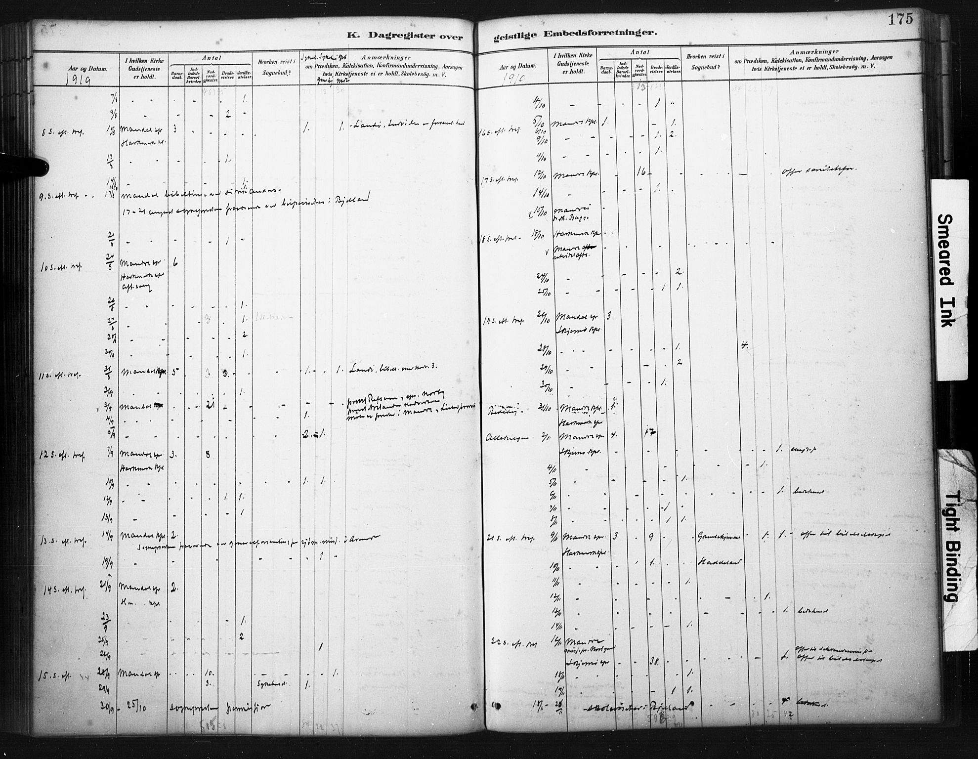 Mandal sokneprestkontor, SAK/1111-0030/F/Fa/Faa/L0017: Ministerialbok nr. A 17, 1880-1926, s. 175