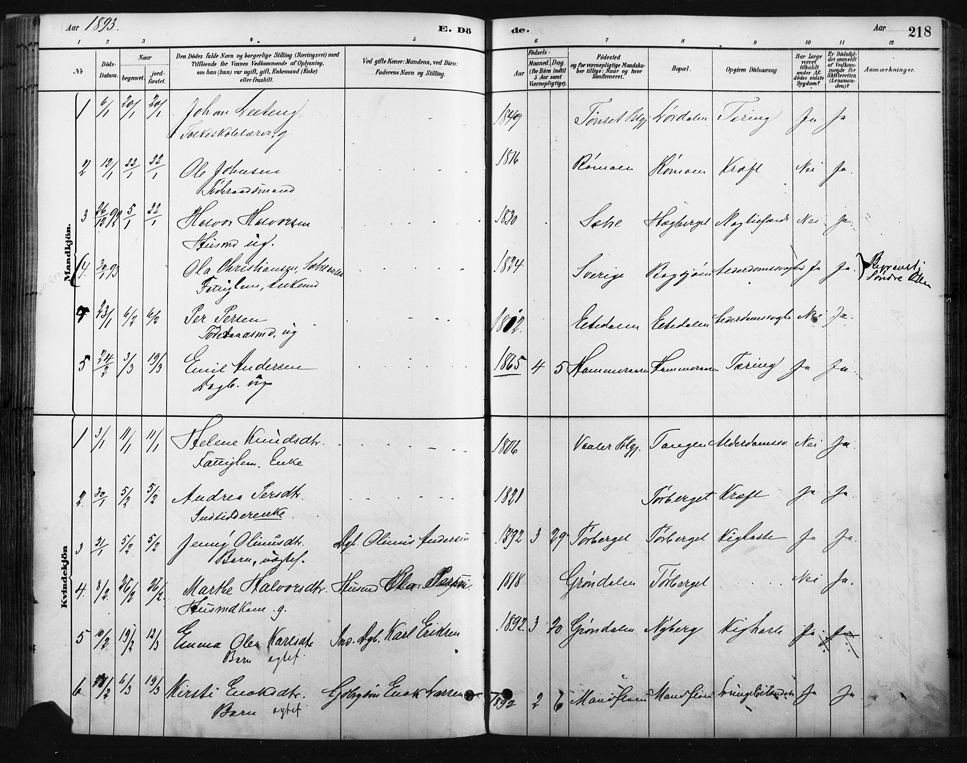 Trysil prestekontor, AV/SAH-PREST-046/H/Ha/Haa/L0009: Ministerialbok nr. 9, 1881-1897, s. 218