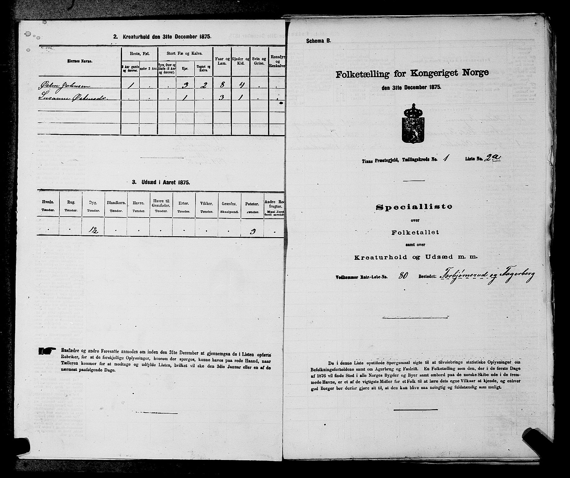 SAKO, Folketelling 1875 for 0826P Tinn prestegjeld, 1875, s. 42