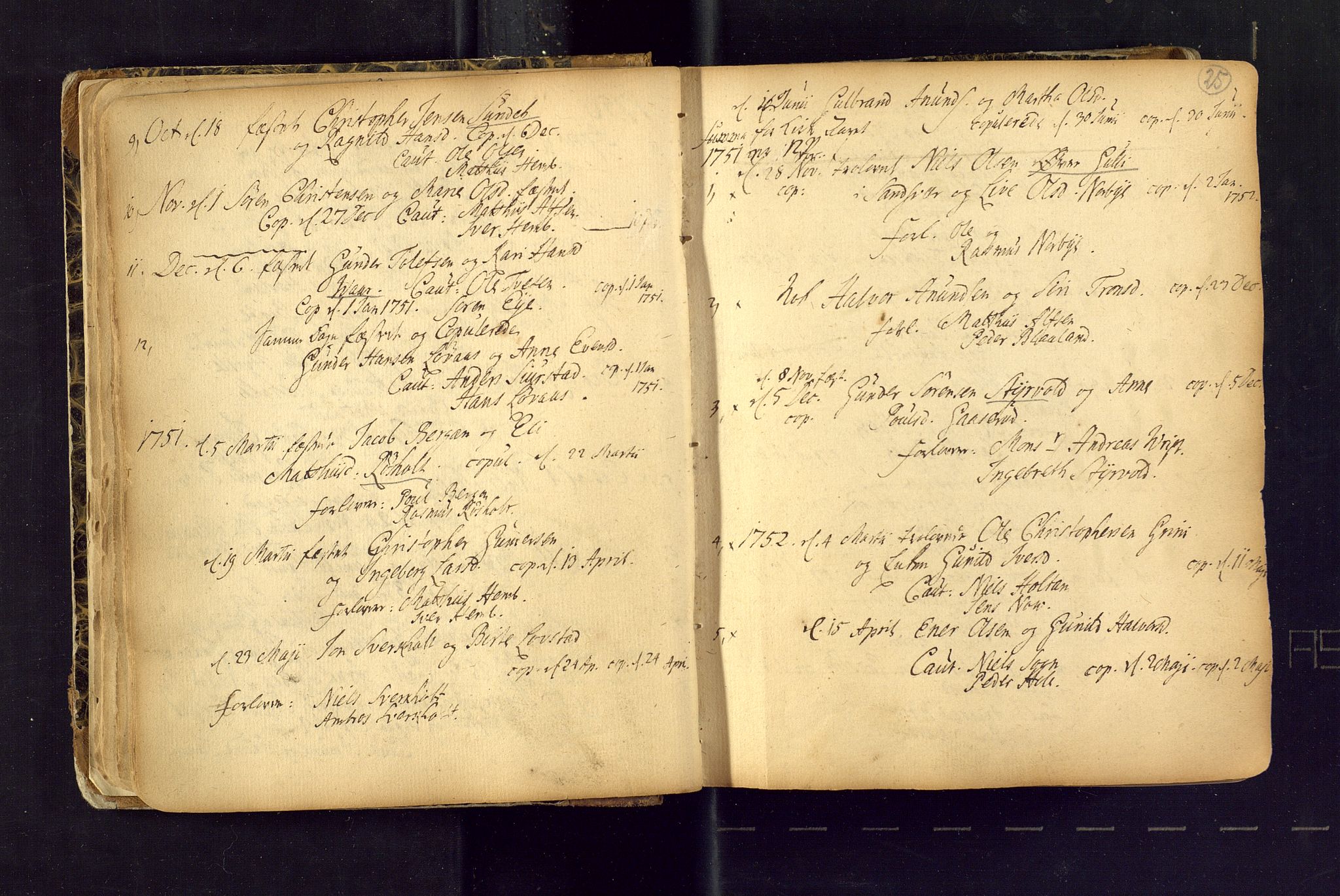 Lardal kirkebøker, SAKO/A-350/F/Fa/L0004: Ministerialbok nr. i 4, 1733-1815, s. 25