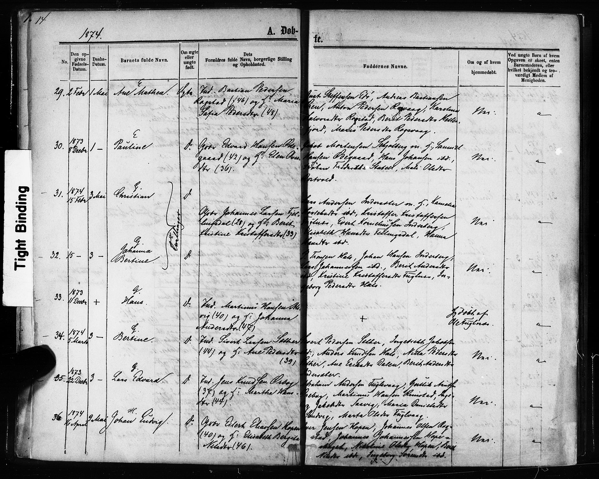Ministerialprotokoller, klokkerbøker og fødselsregistre - Møre og Romsdal, AV/SAT-A-1454/581/L0938: Ministerialbok nr. 581A06, 1873-1879, s. 14