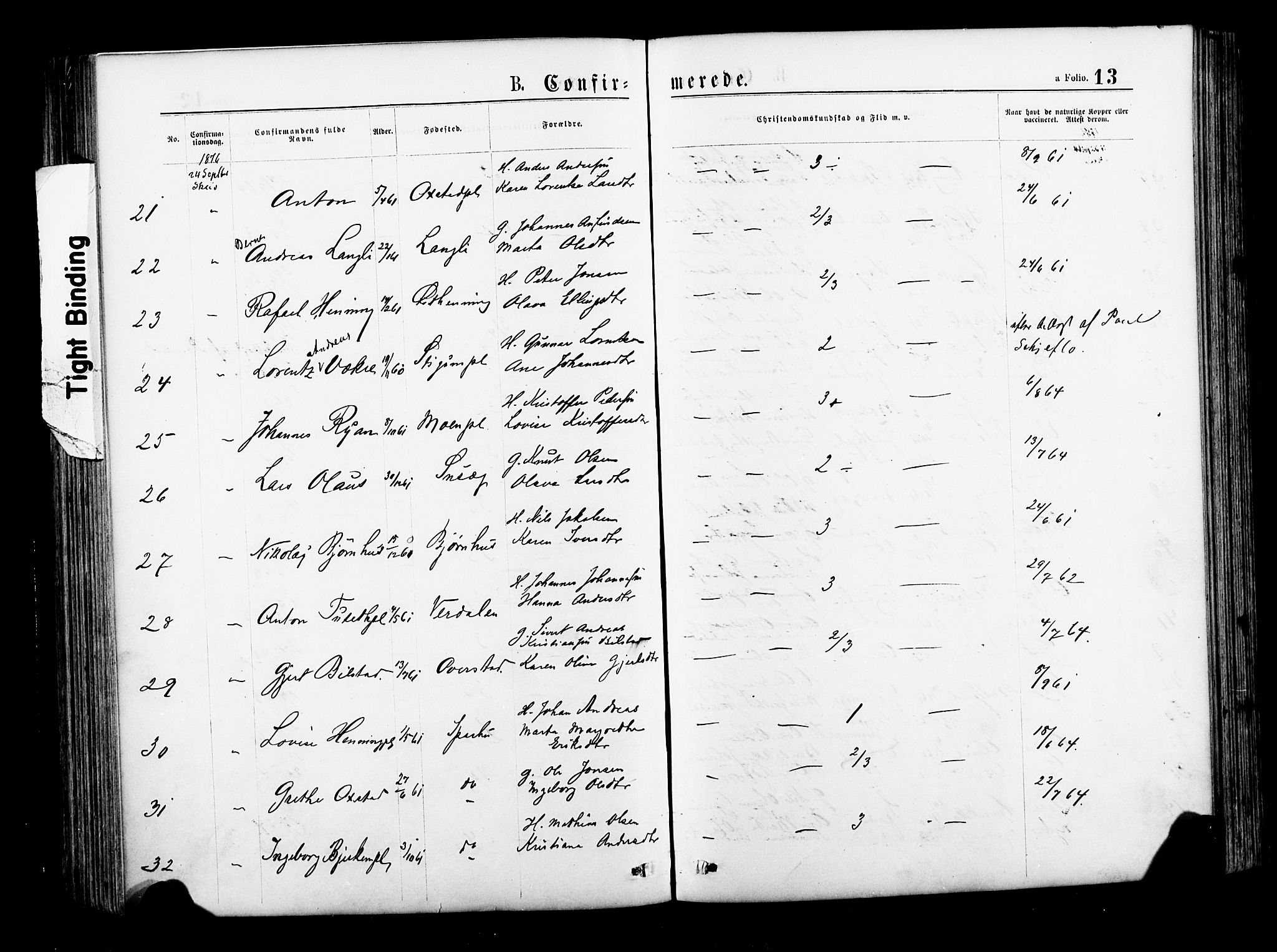 Ministerialprotokoller, klokkerbøker og fødselsregistre - Nord-Trøndelag, SAT/A-1458/735/L0348: Ministerialbok nr. 735A09 /1, 1873-1883, s. 13
